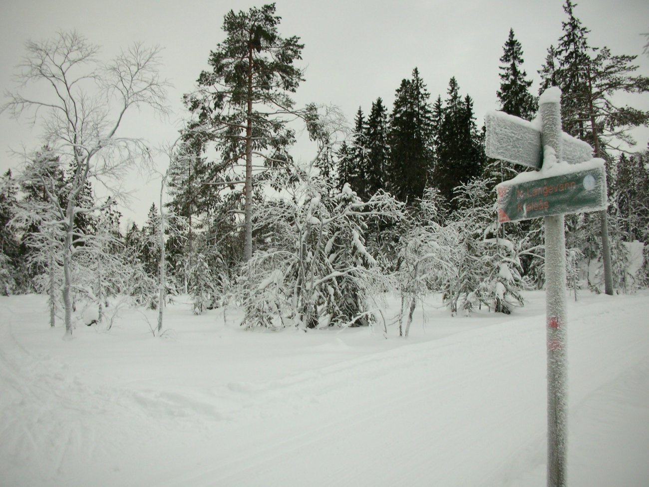 Løypekryss i Skillingsdalen