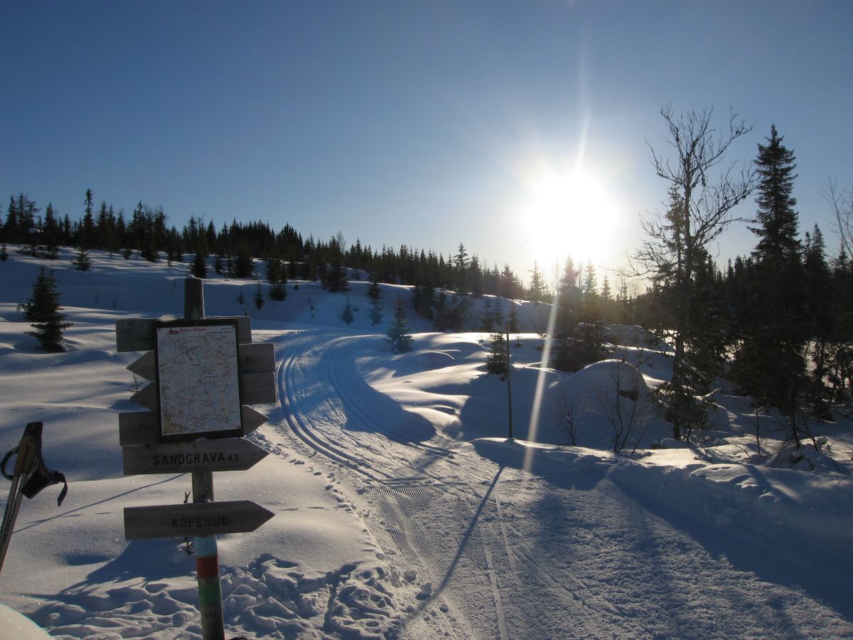 Løypekryss i Svartdalen mellom løype 485 og 487