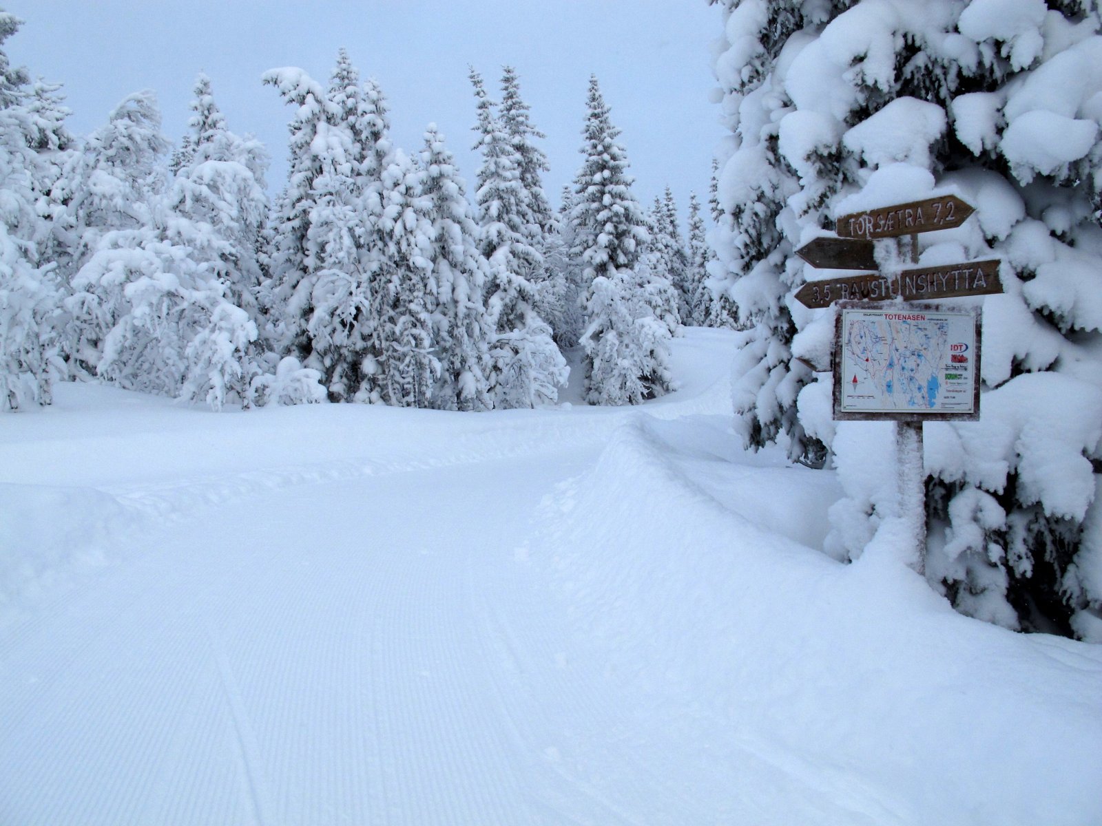 Løypekryss nord for Anfinnsætra