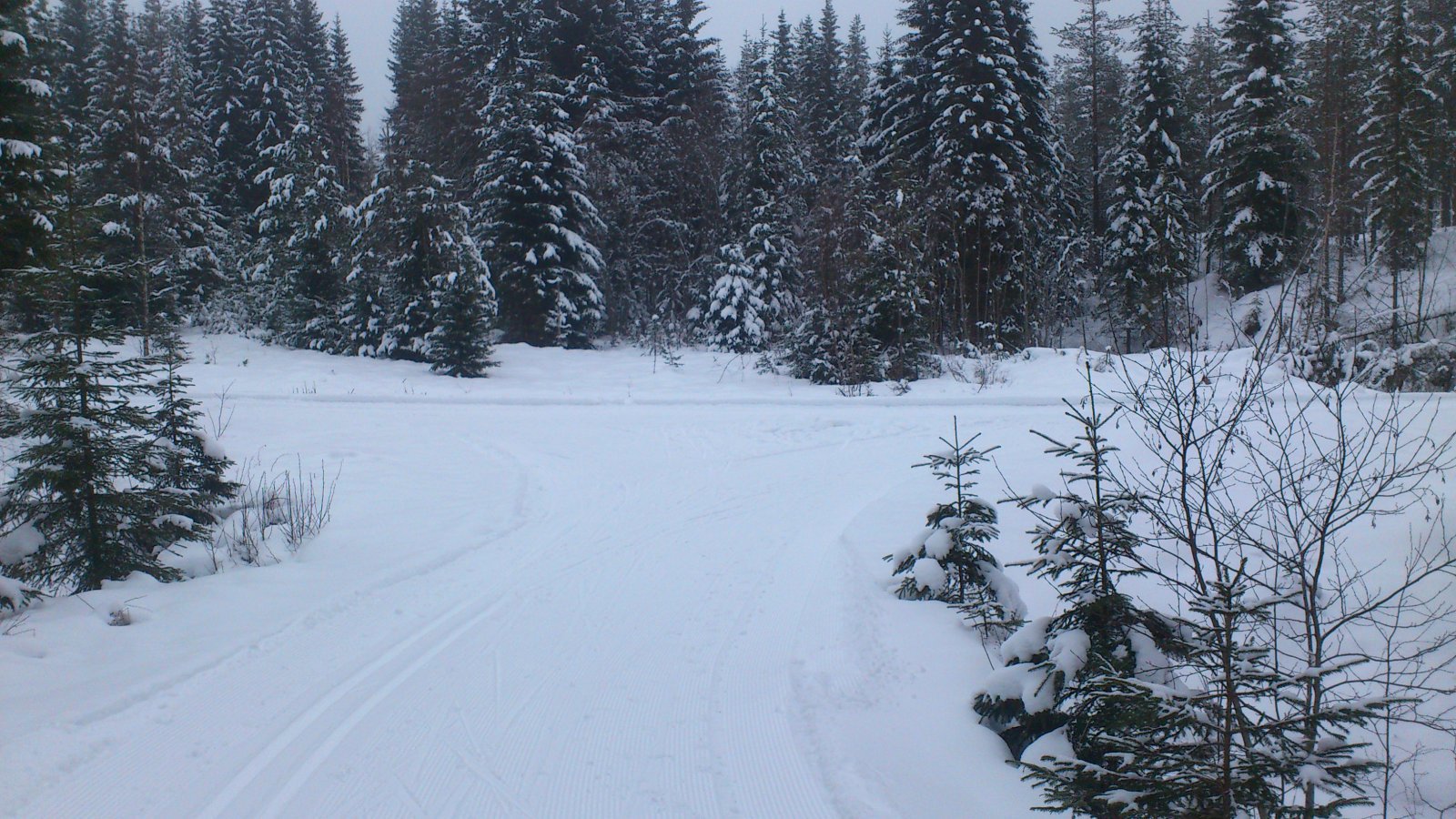 Løypekryss nord for Utsjøen