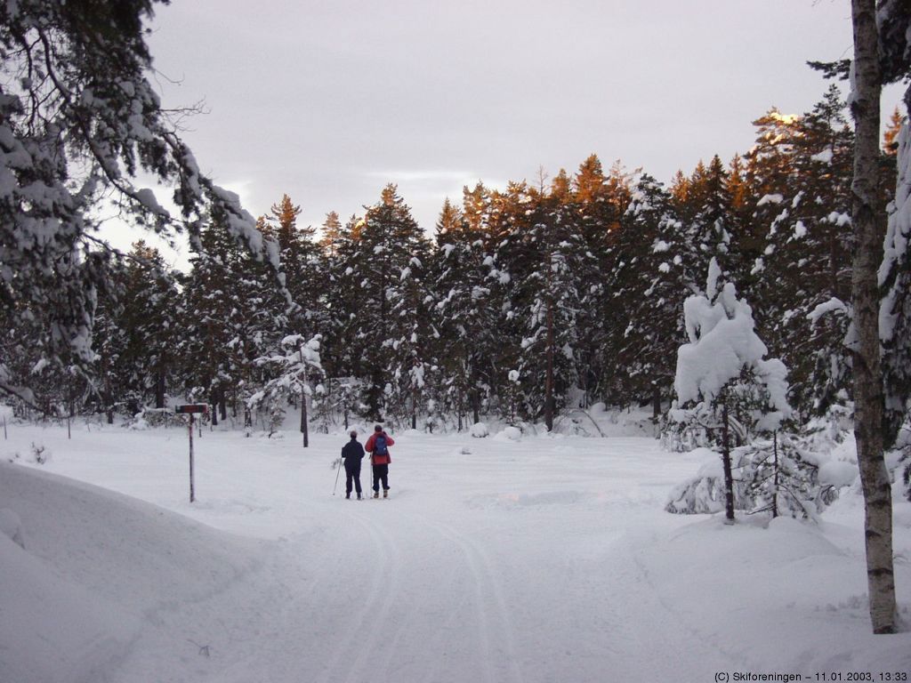 Løypekryss på Fuglemyr