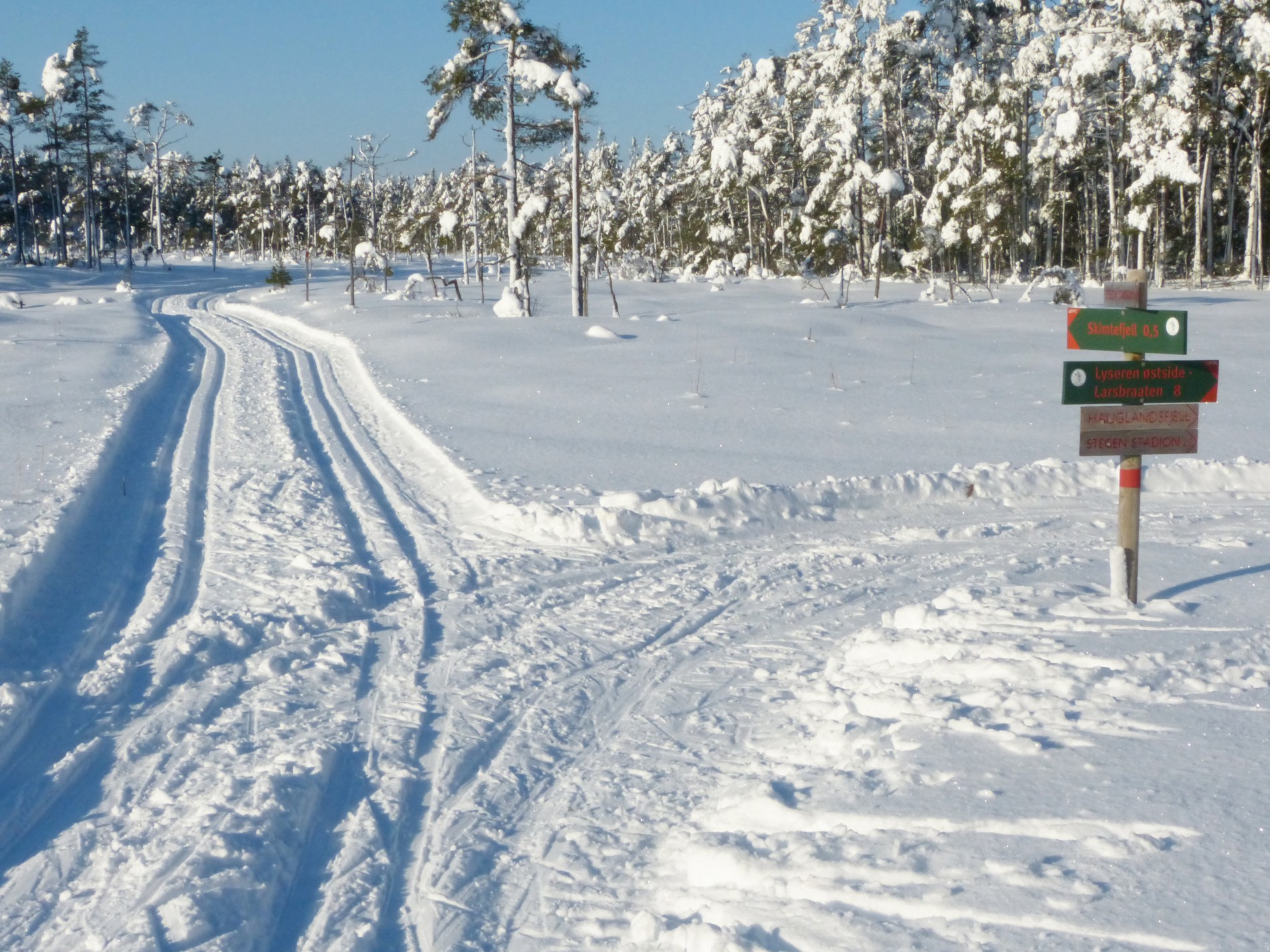 Løypekryss på Gulltjernmosen