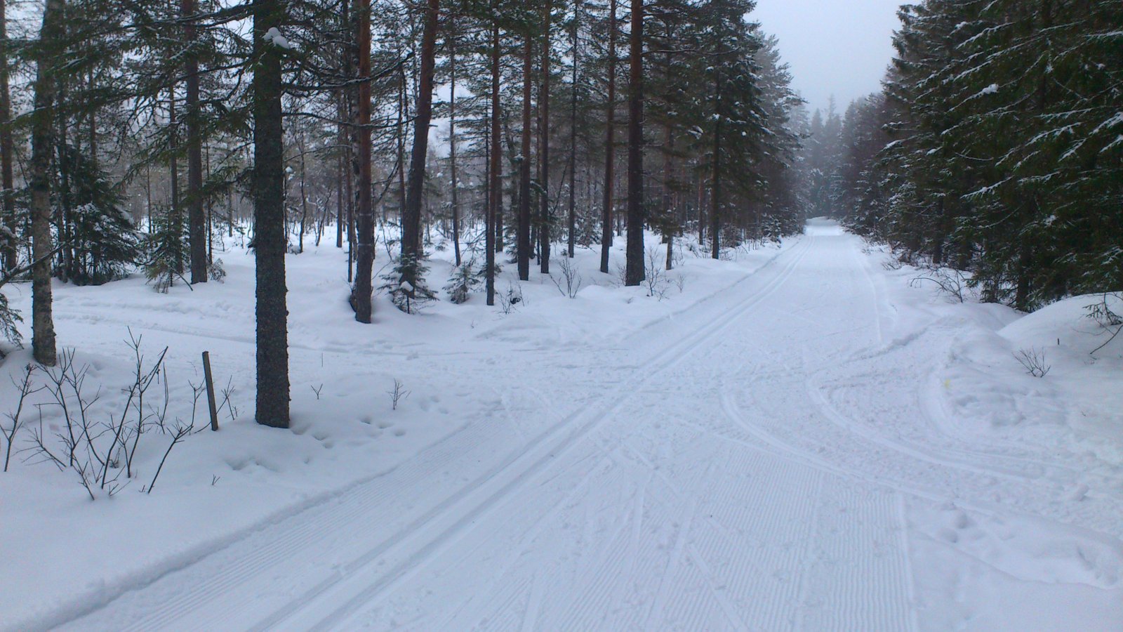 Løypekryss på Spyttmyra