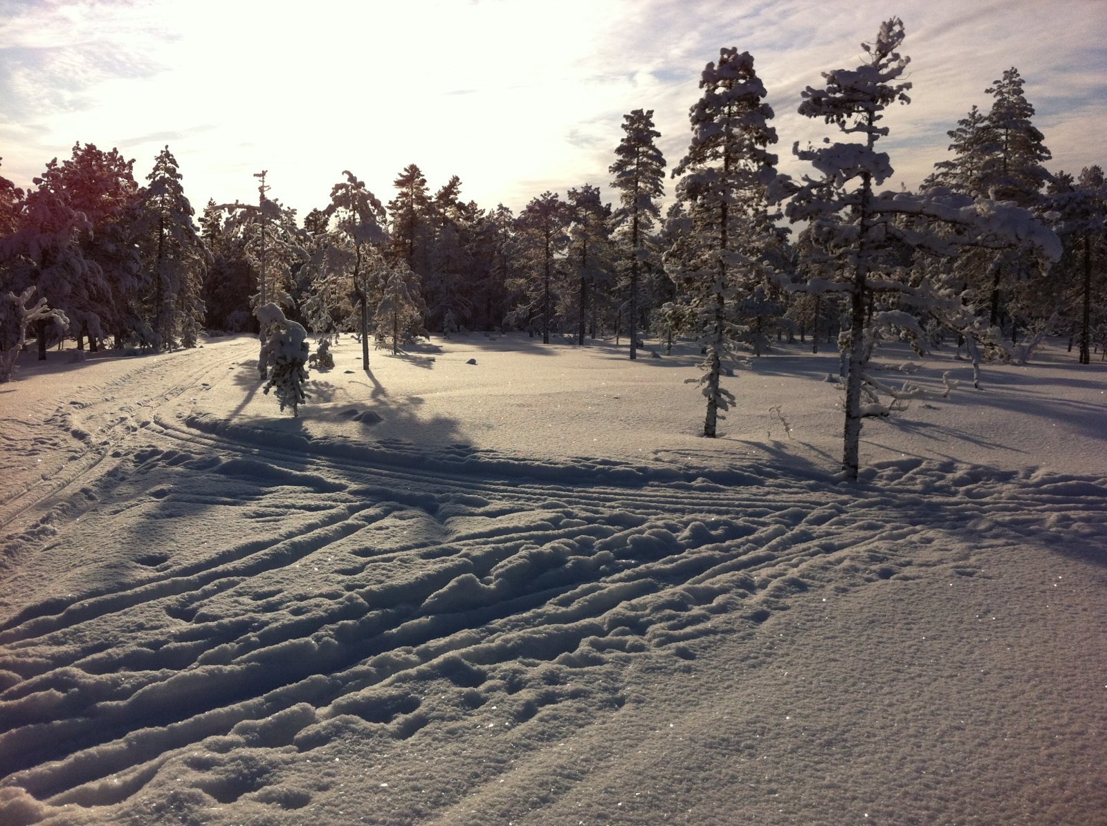 Løypekryss på Tretjernsmyra