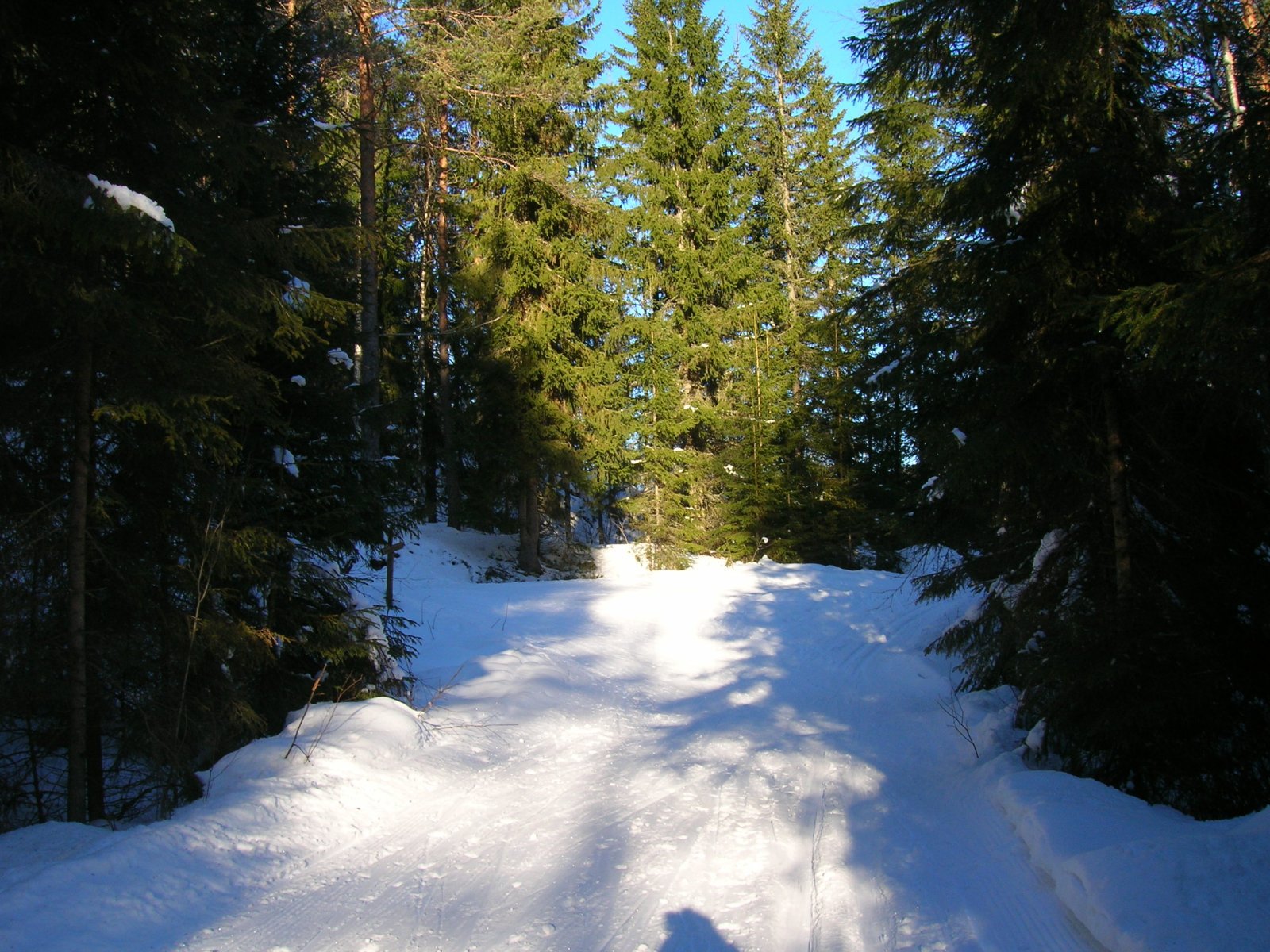 Løypekryss ved Johannesbakken