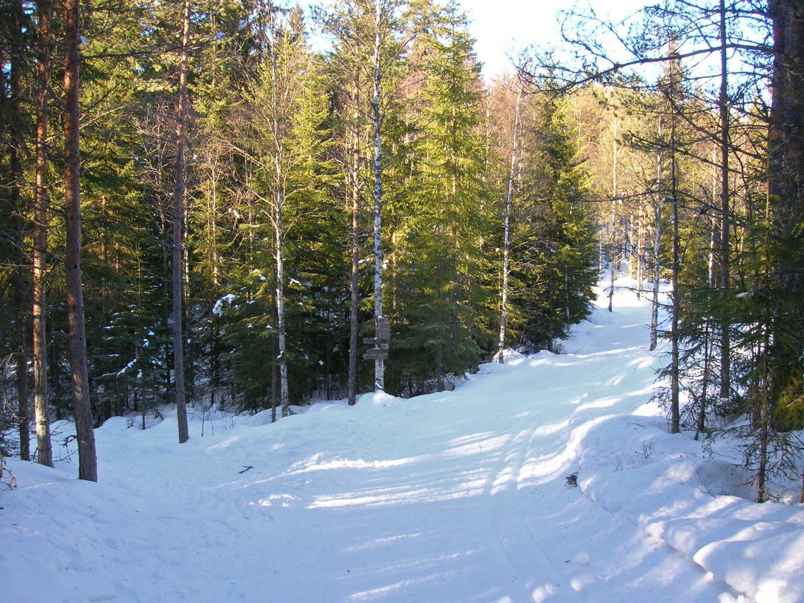 Løypekryss ved Lågsjøen