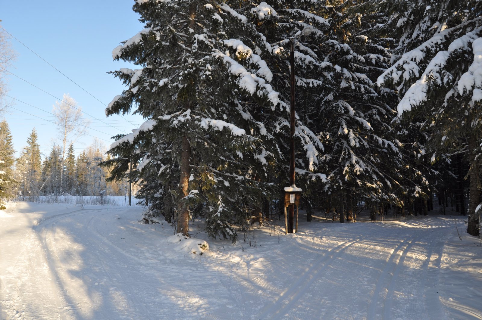 Løypekryss ved Sagvegen