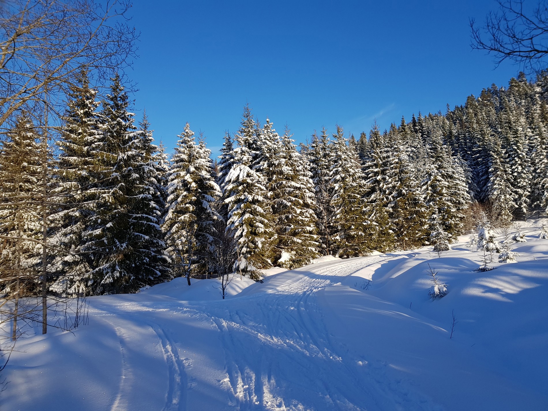 Løypekryss ved Semsporten