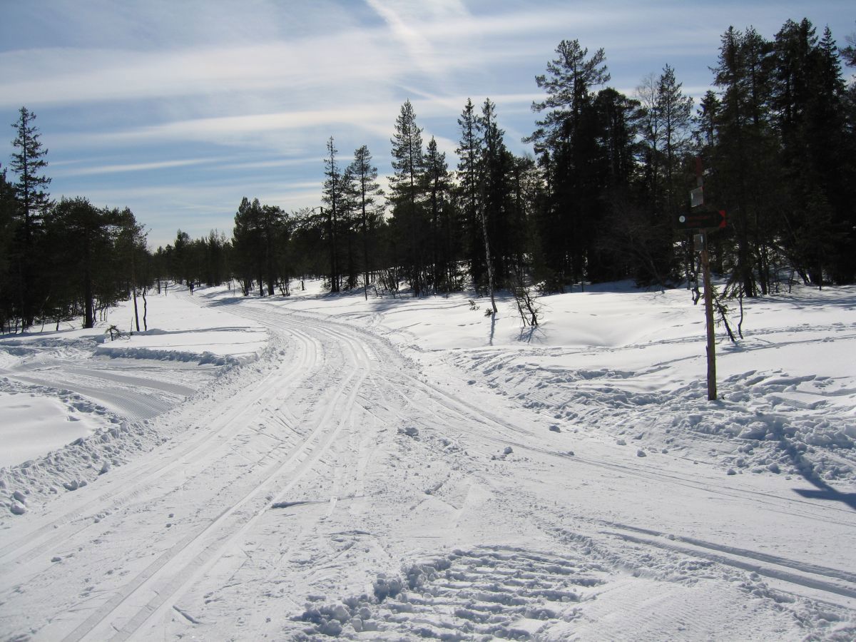 Løypekryss ved Vardåsen