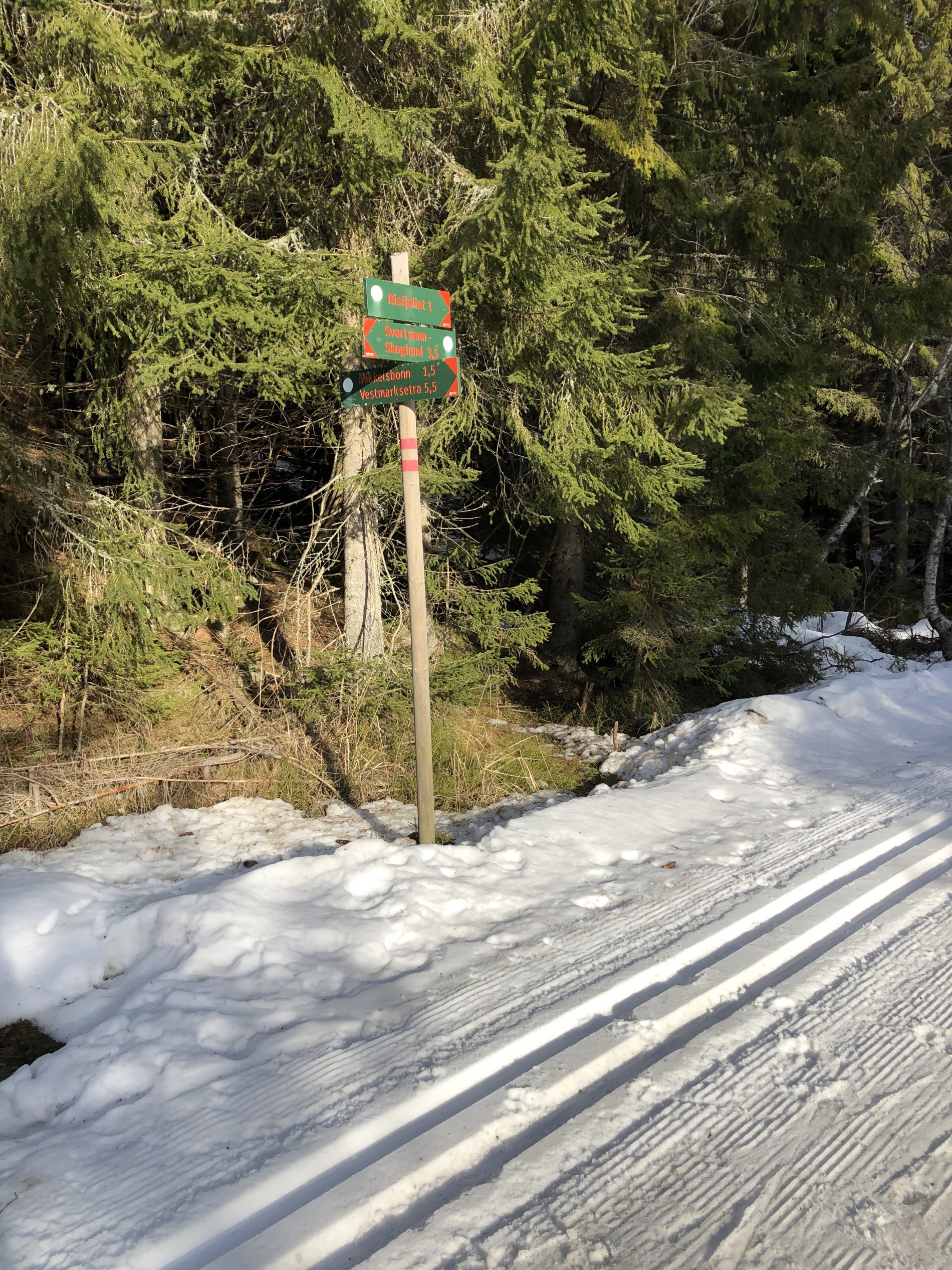 Løypekrysset mellom Skoglund og Mikkelsbonn