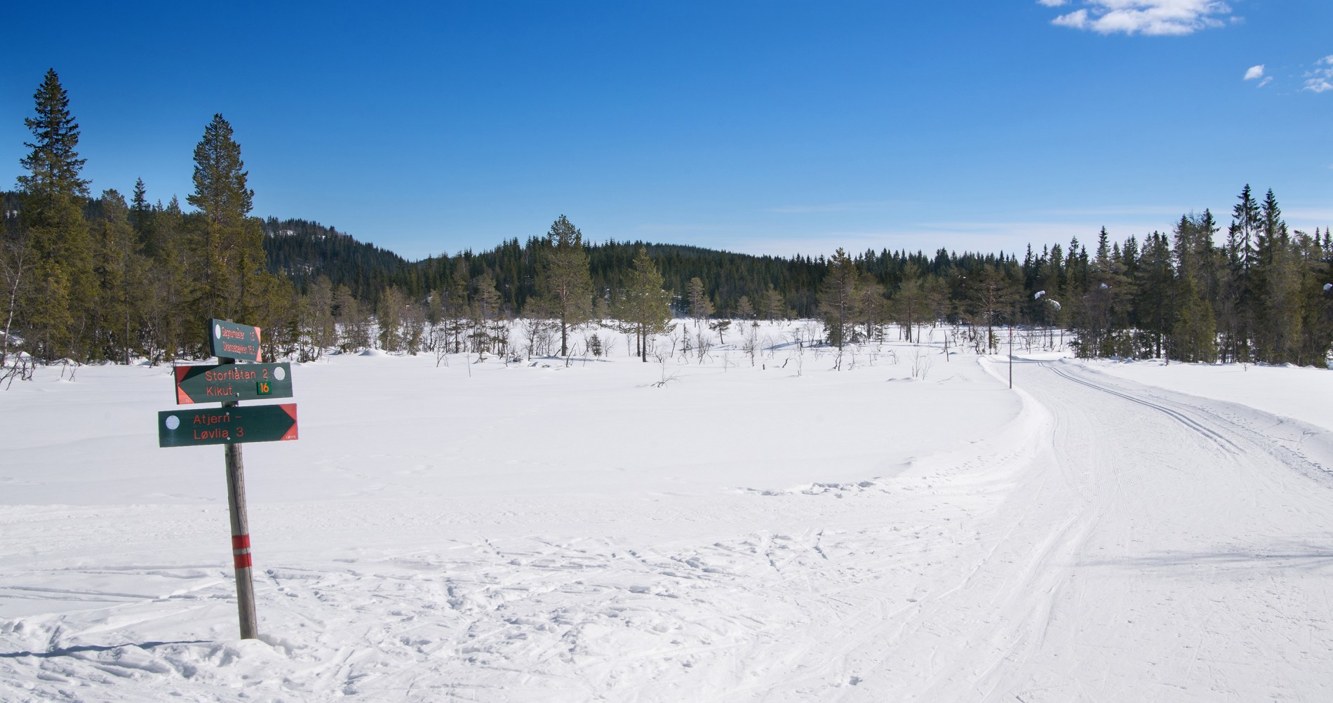 Løypekrysset nord for Skamræk