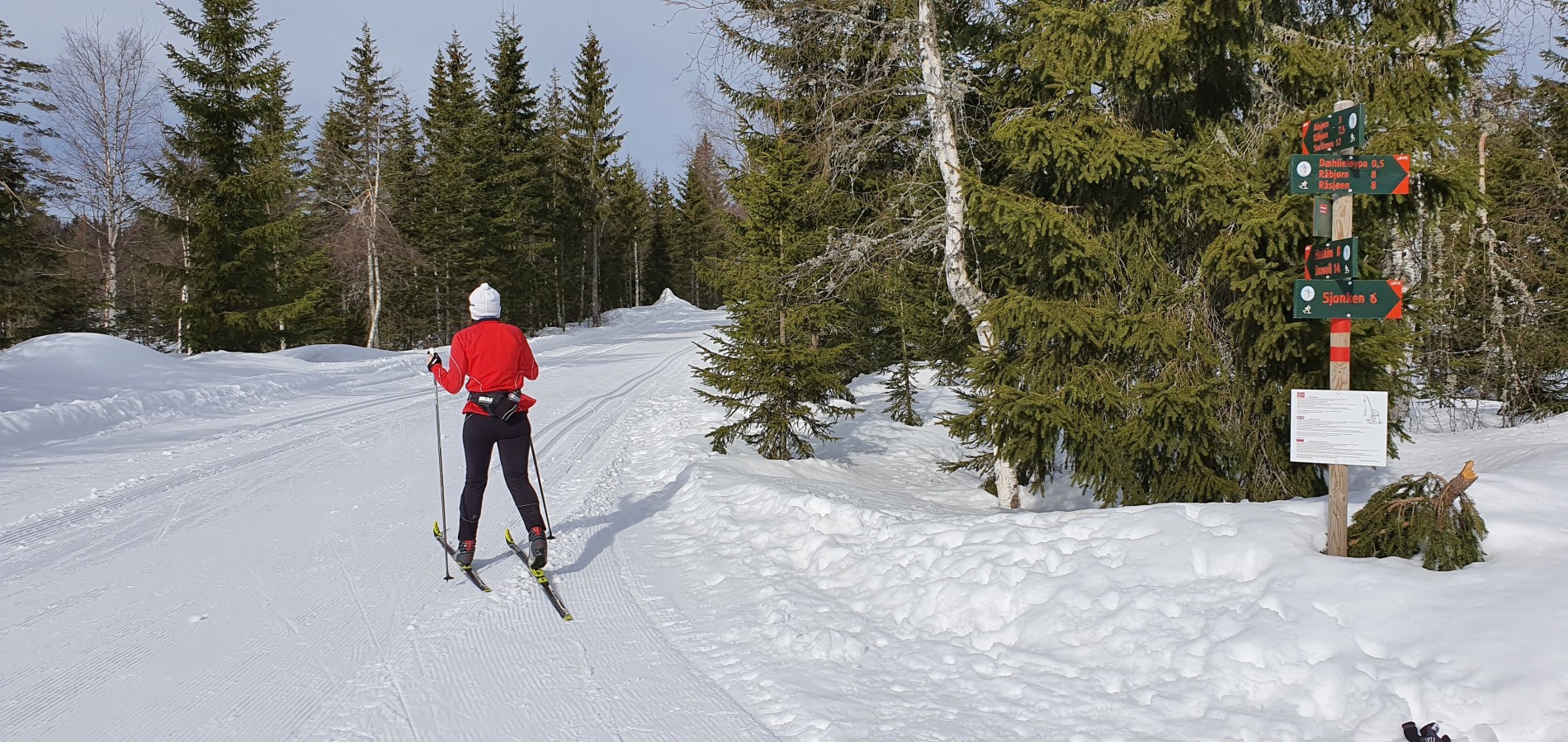 Løypekrysset nordvest ved Bjertnessjøen
