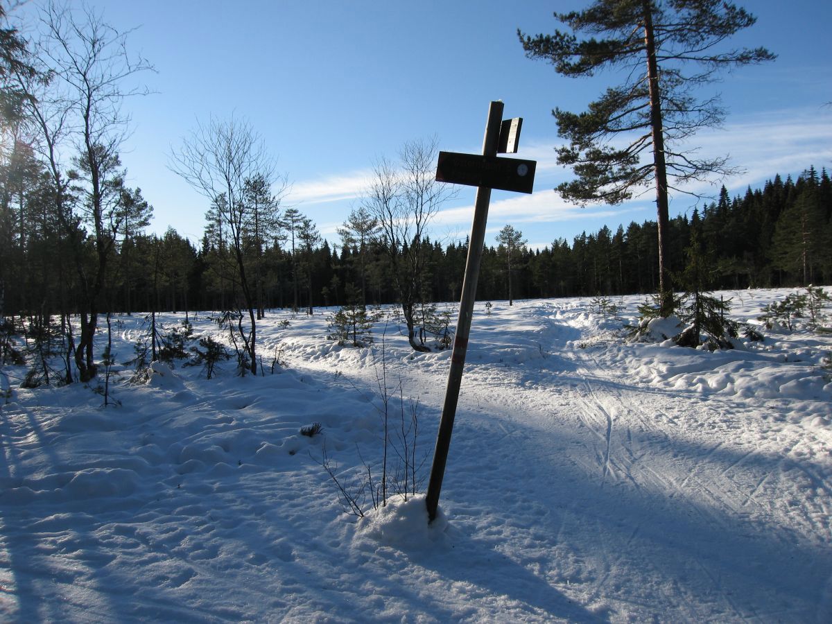Løypekrysset sydvest for Blekkevann