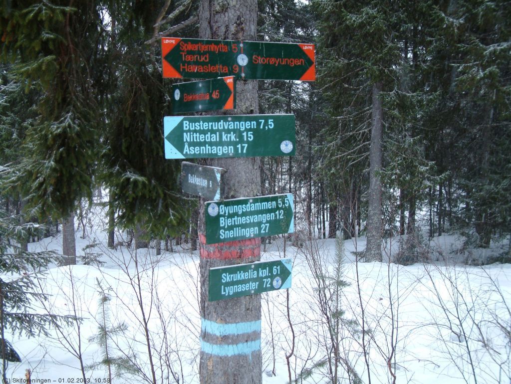 Løypekrysset ved Årstadvangen