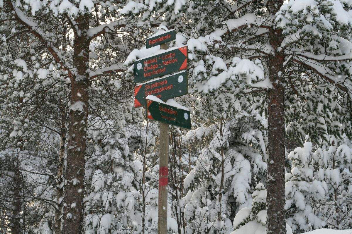 Løypekrysset ved Bjønnebete