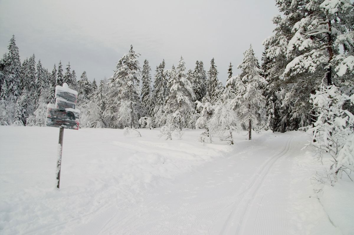 Løypekrysset ved Dammyra
