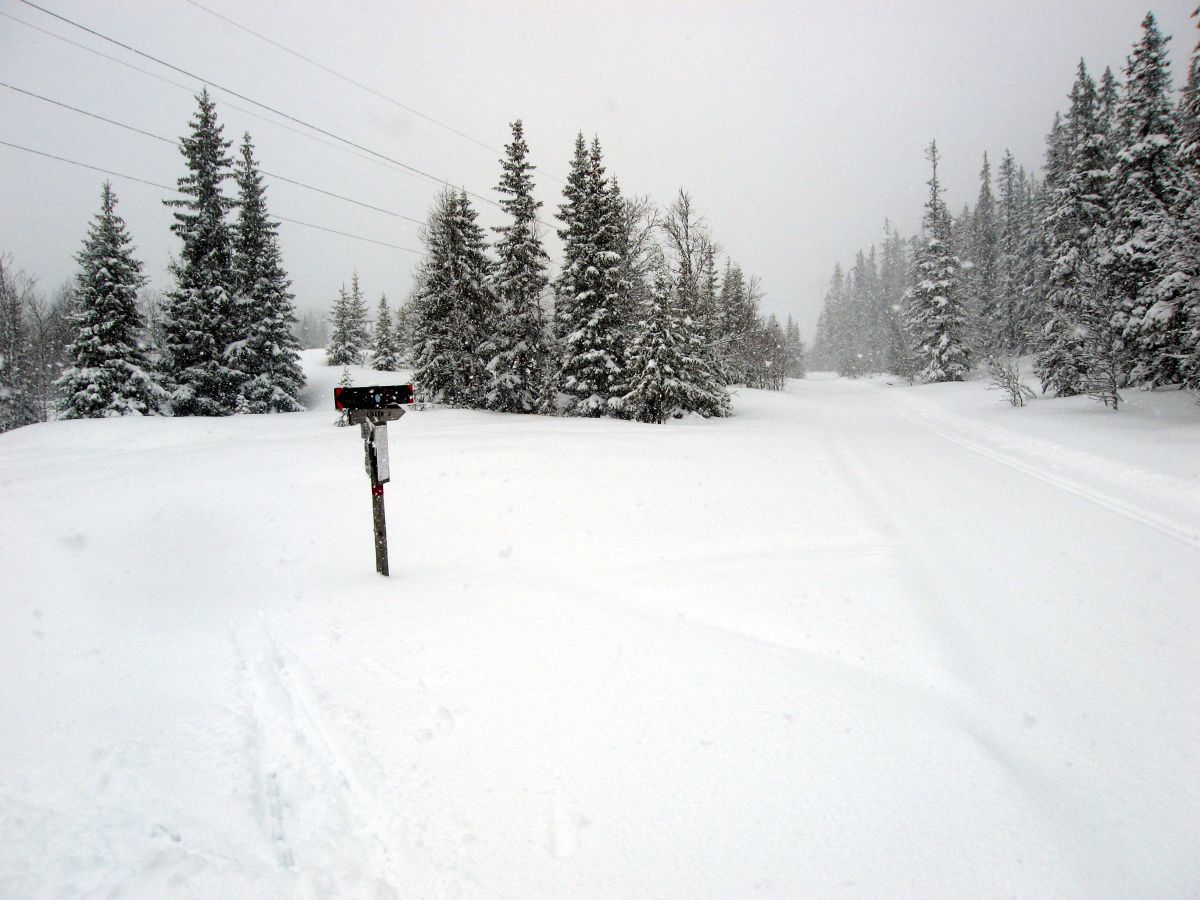 Løypekrysset ved Hengedyhaugen