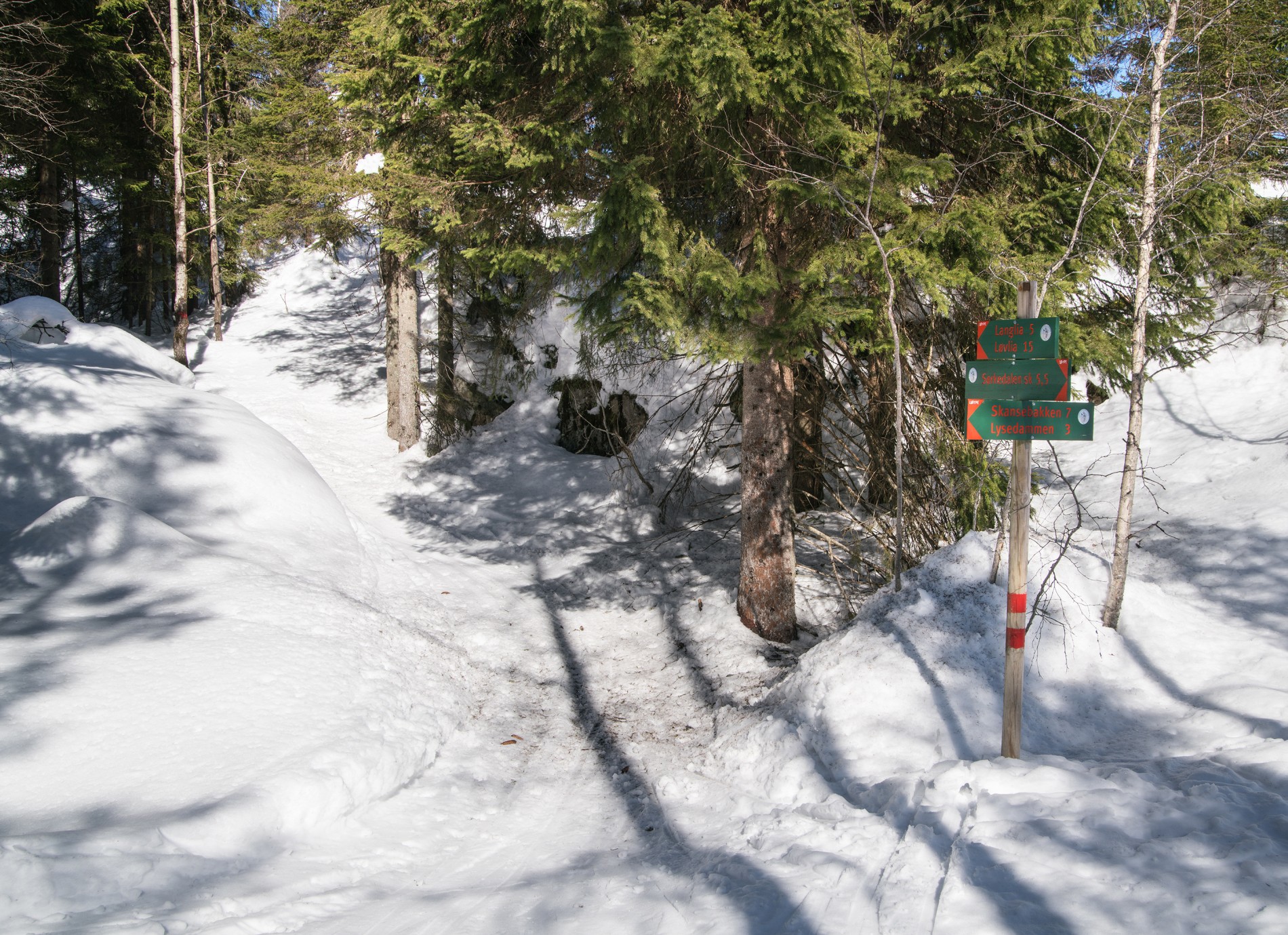 Løypekrysset ved Moliksåsen