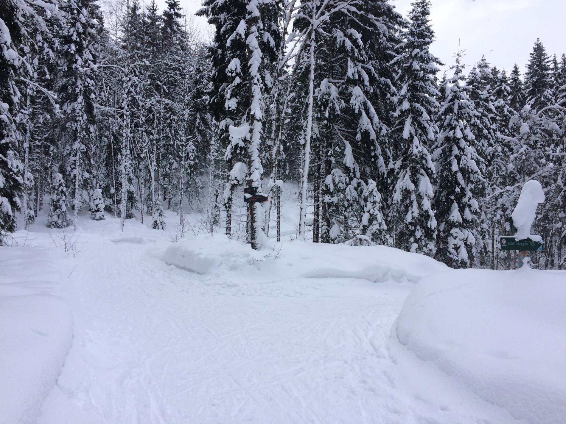 Løypekrysset ved Myrvang