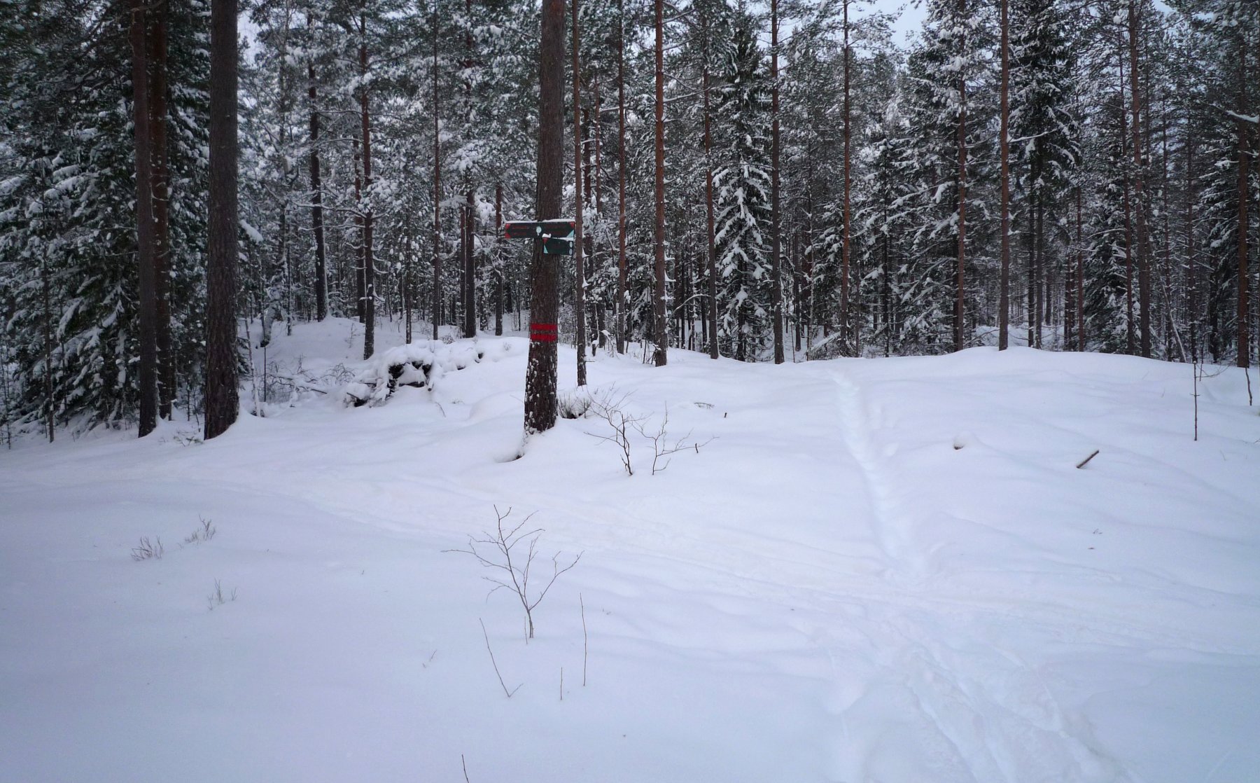 Løypekrysset ved Olavsmyr