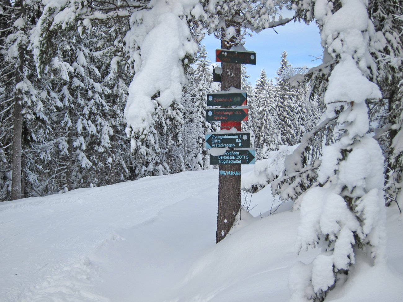 Løypekrysset ved Storøyungen