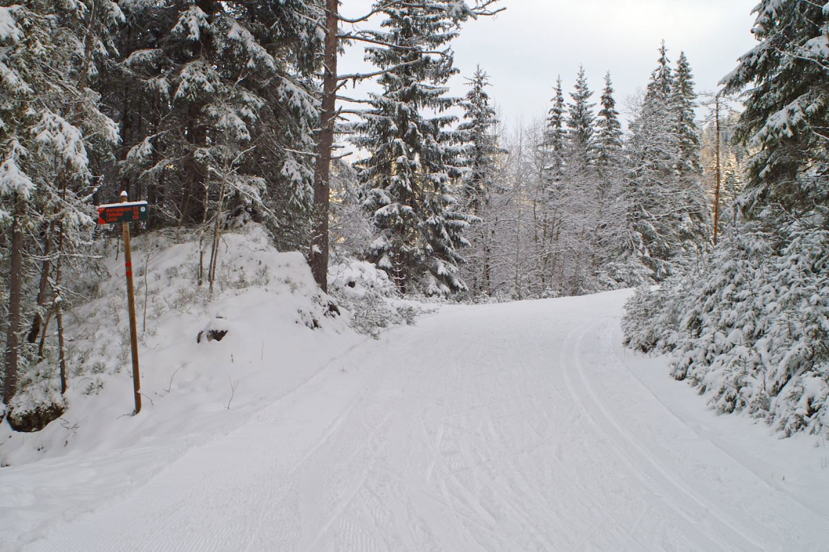 Løypekrysset ved Tverrelva