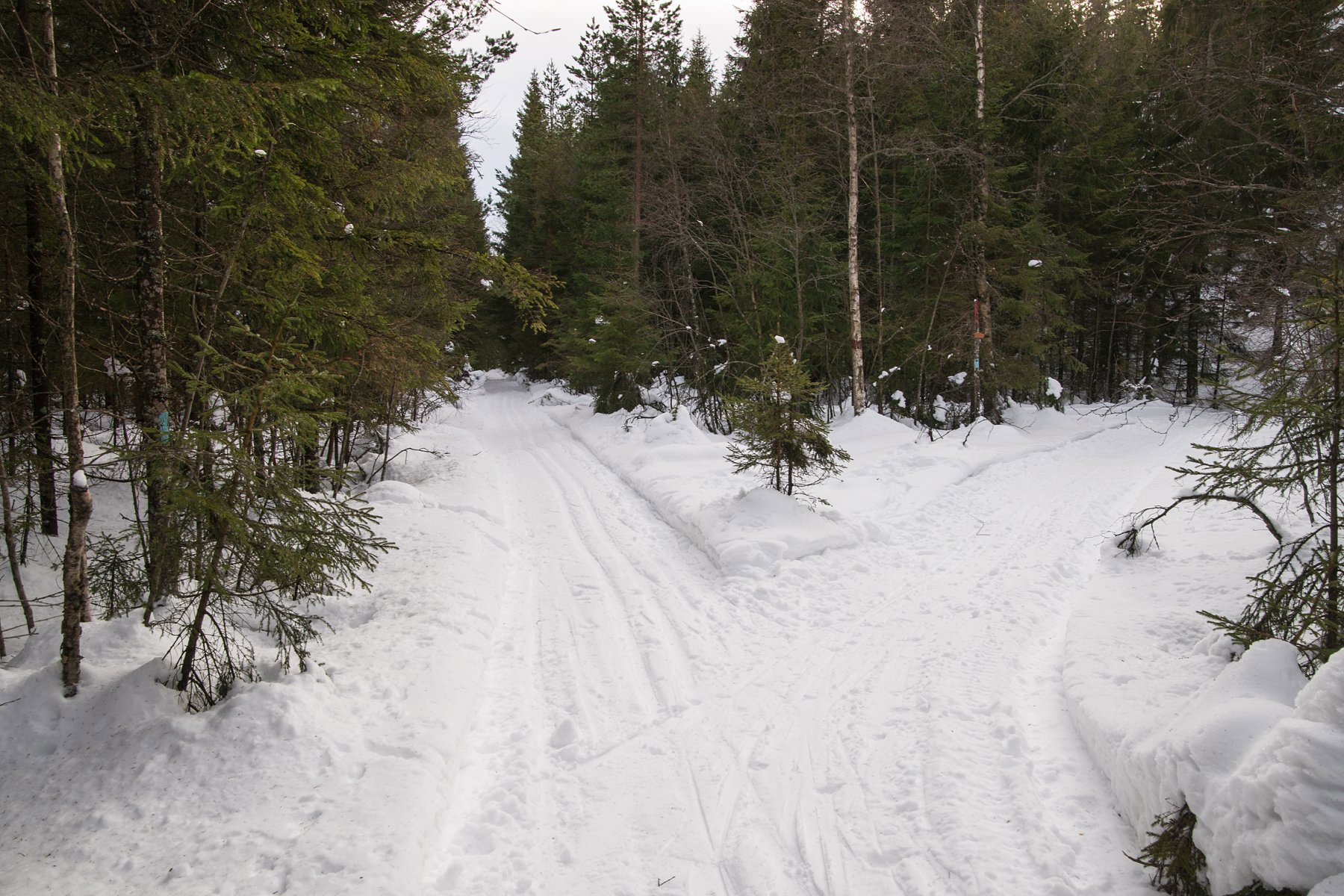 Løypemøte i Gopledalen