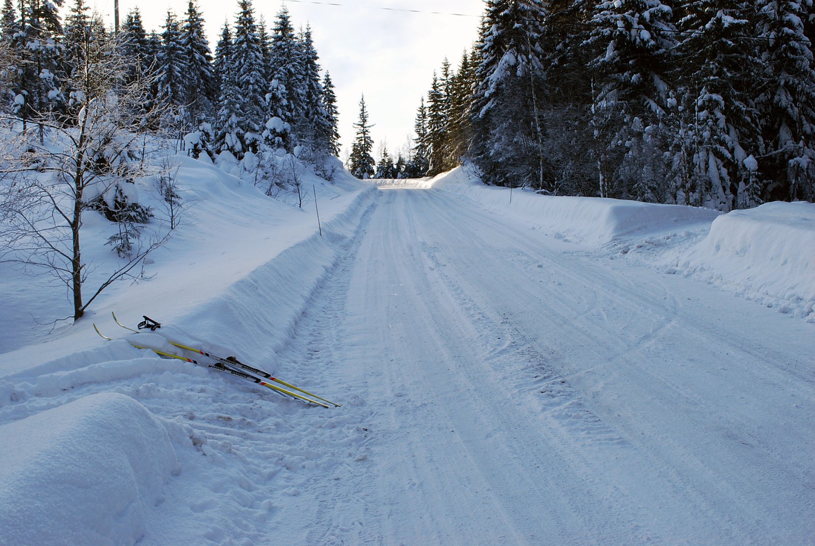 Løypemøte ved Steinsjøen
