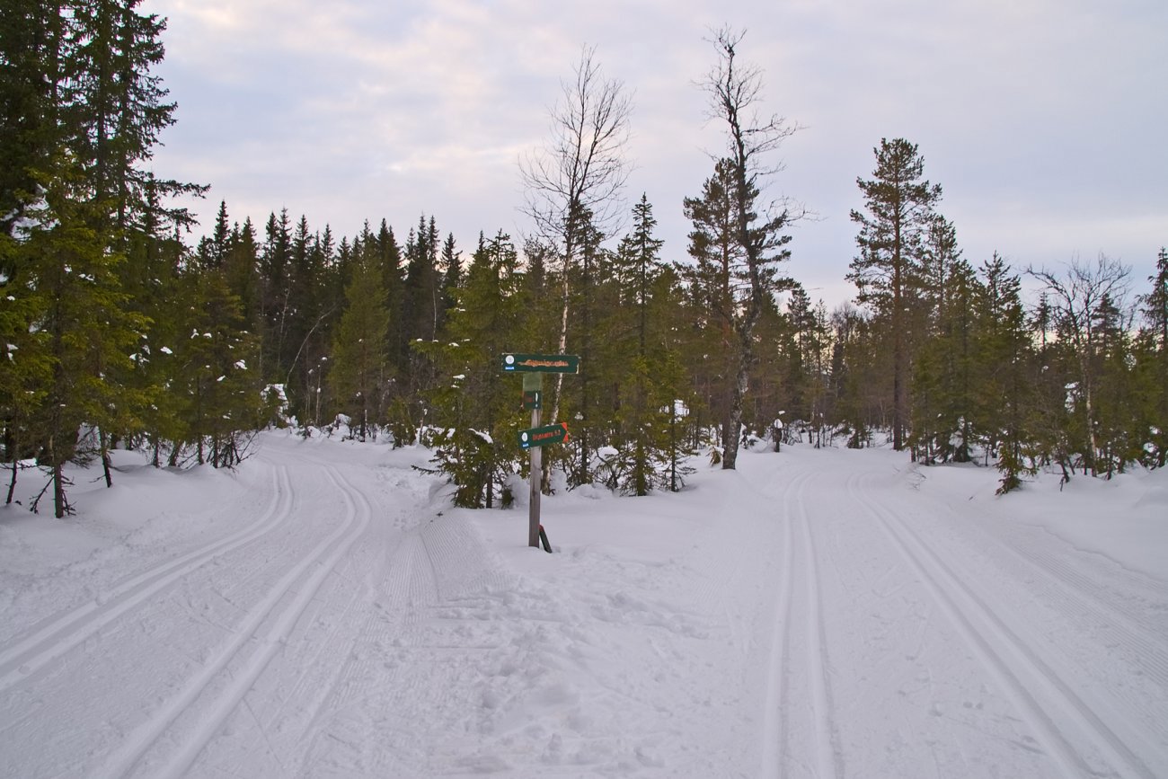 Løypene møtes ved Søbergsætra