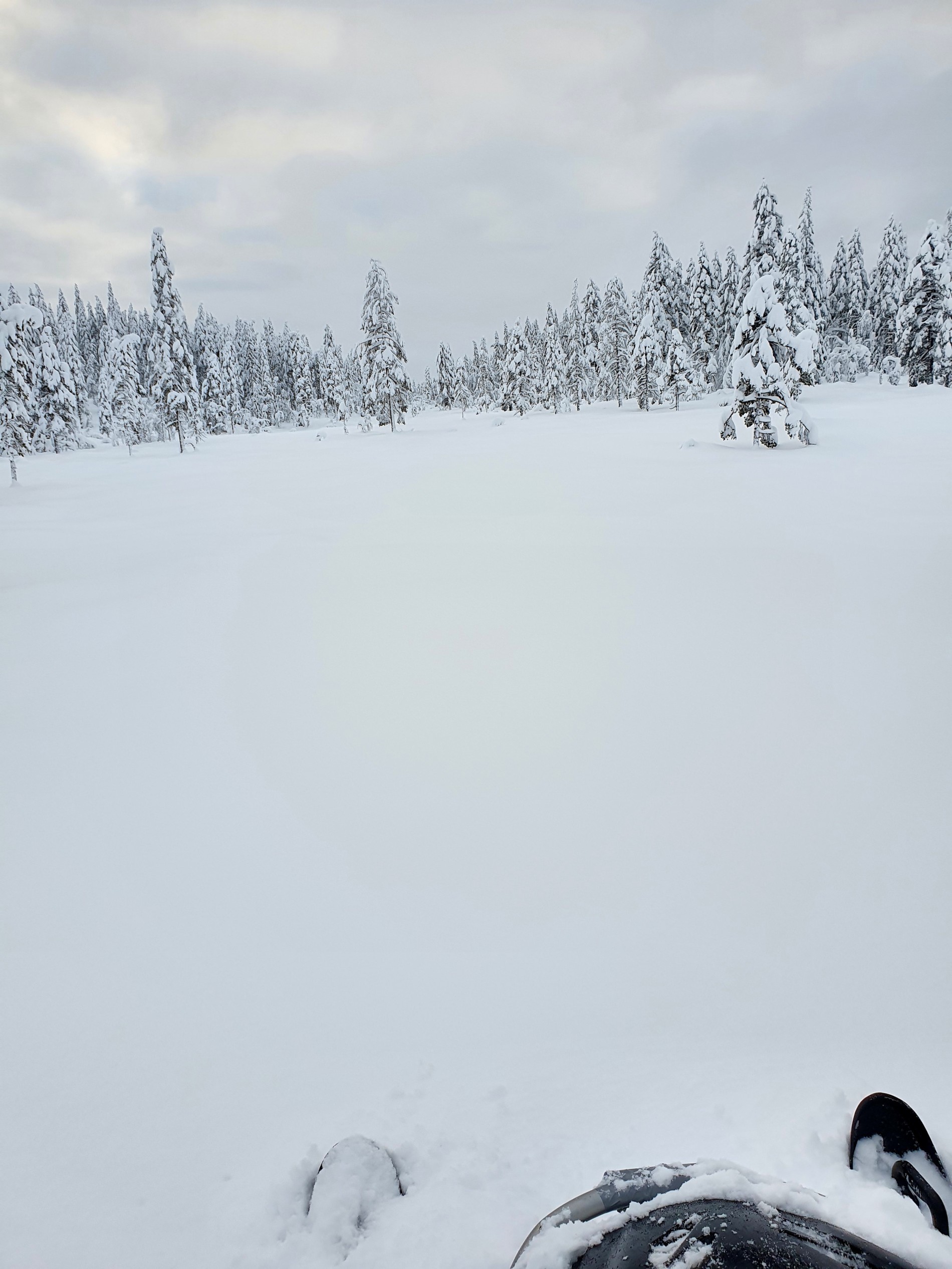 Løypeprepping over Spenntimyra