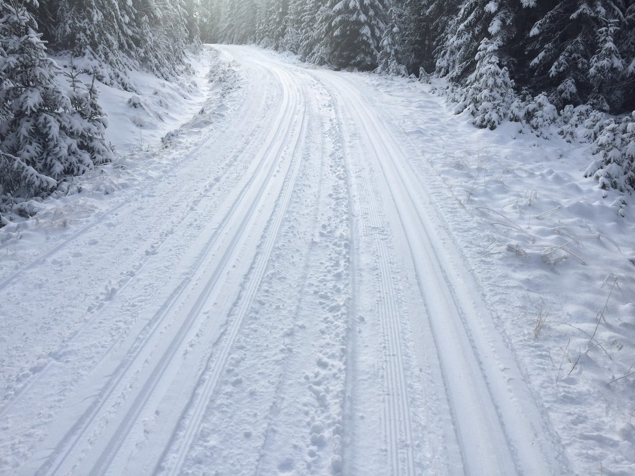 Løyper i Vardalsåsen