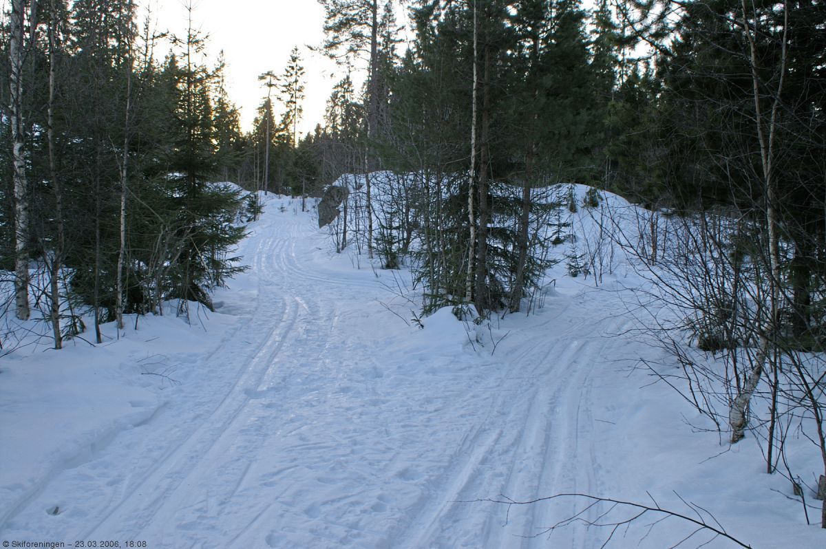 Løyper møtes i Gjelleråsmarka