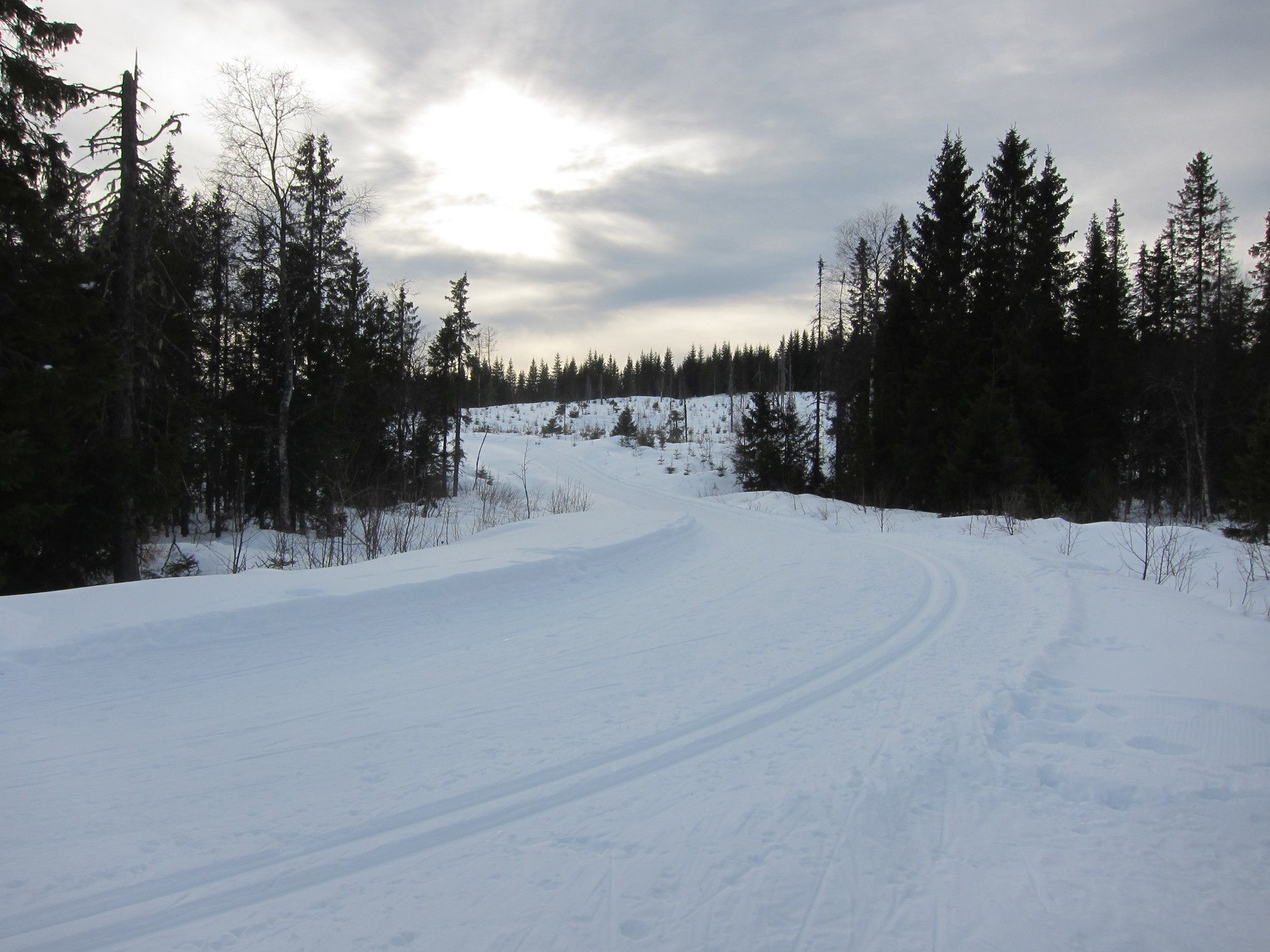 Løyper ved Bjønnhaugen