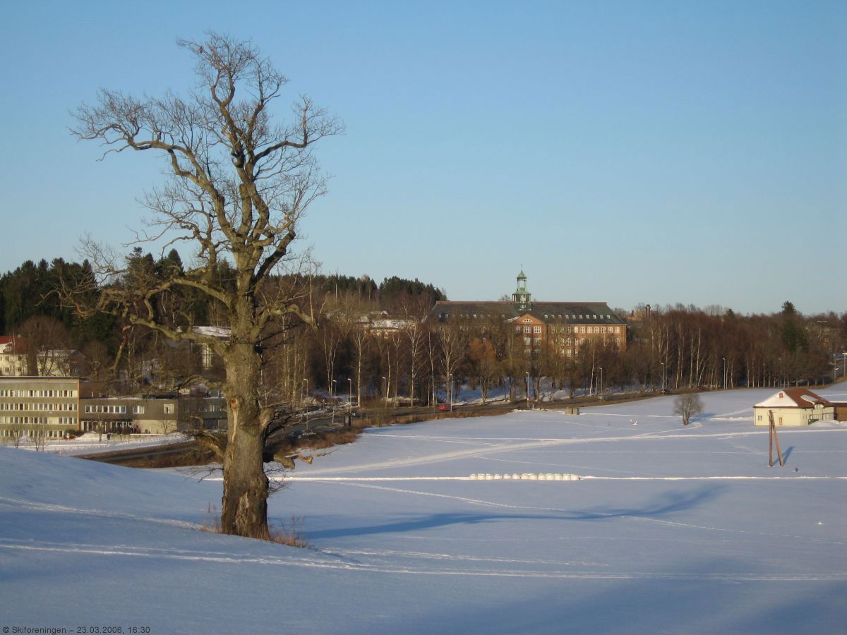 Løyper ved høyskolen Ås