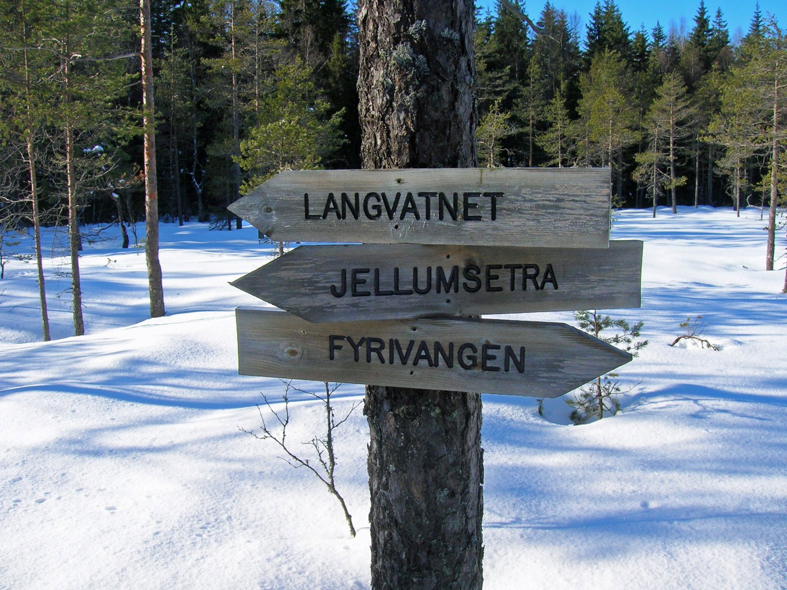 Løypeskilt på Gammelvangsmyra