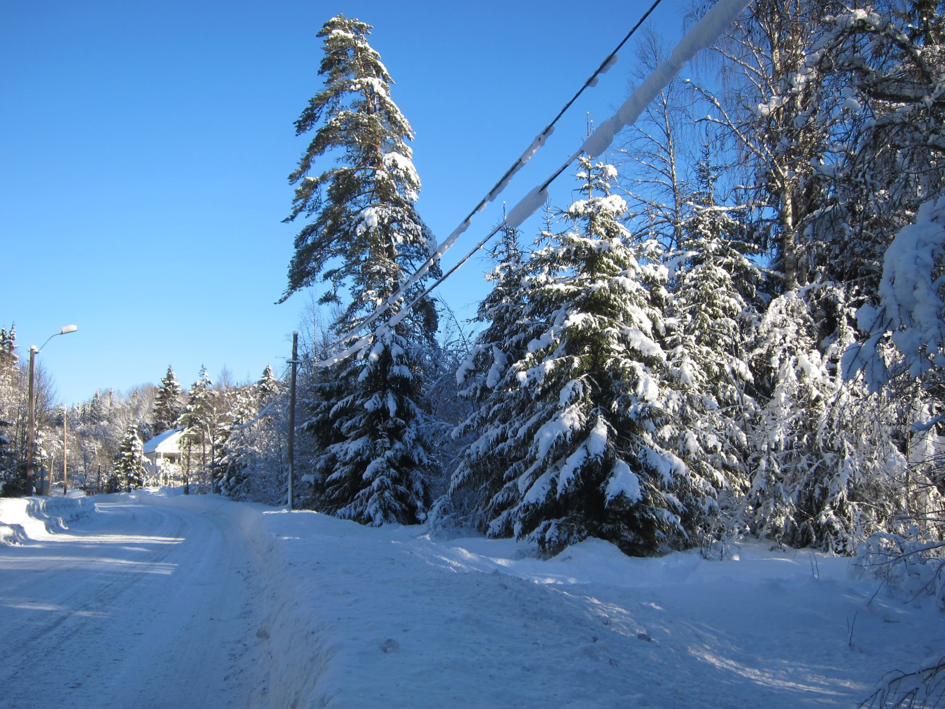 Løypestart fra Odalsvegen