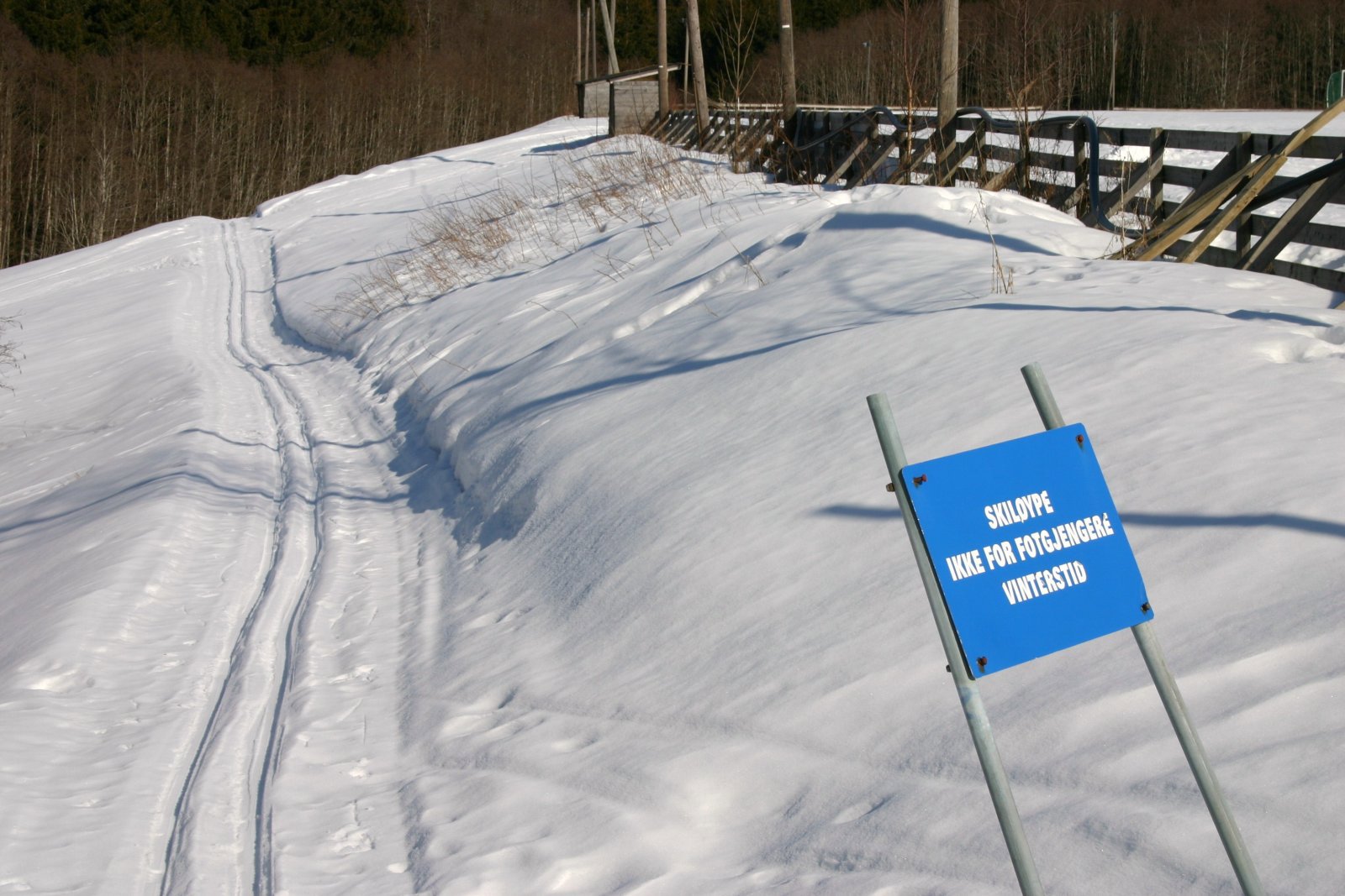 Løypestart fra Tomter
