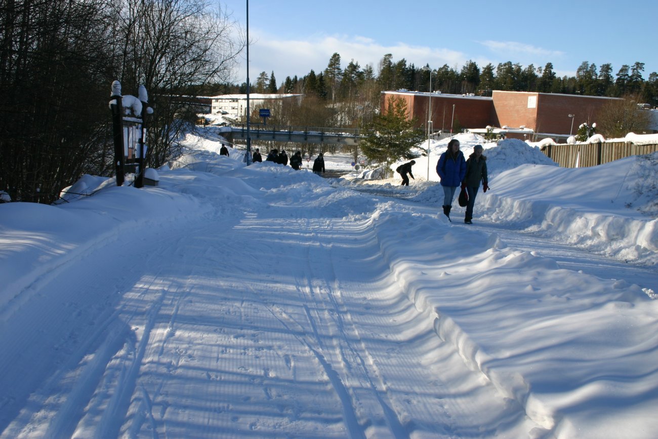 Løypestart på Vevelstad