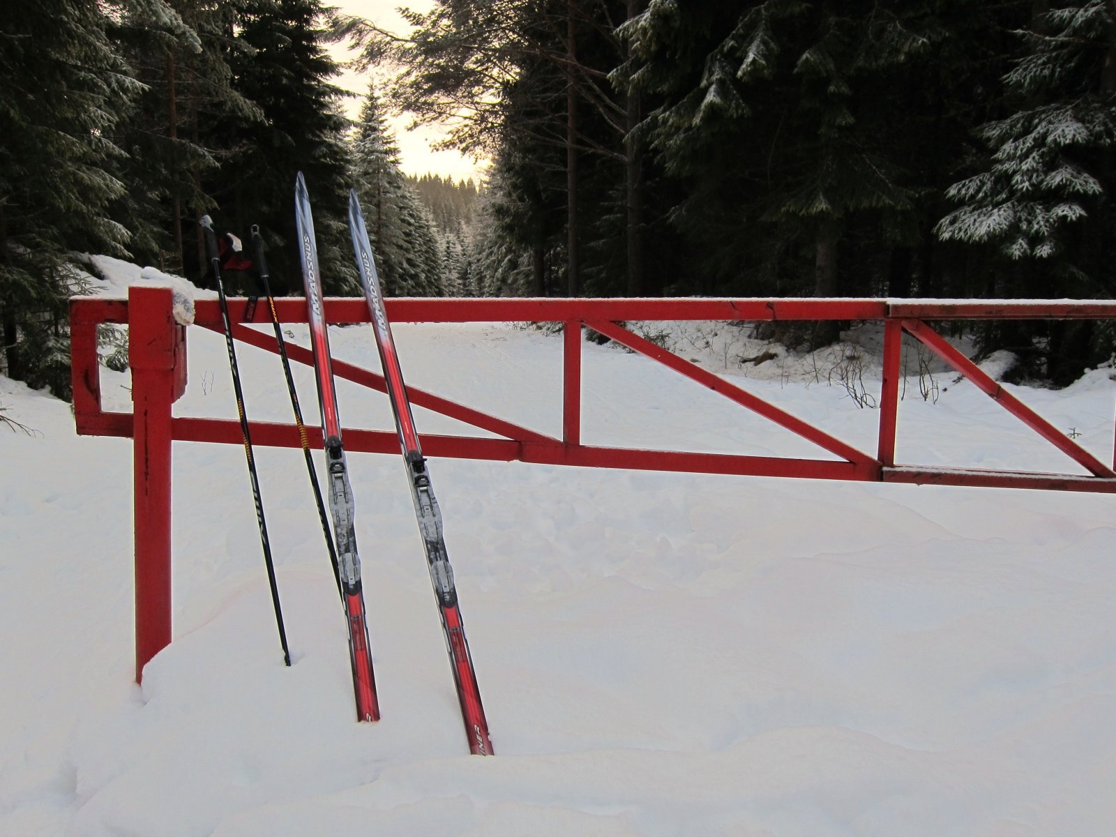 Løypestart ved Hedmark grense