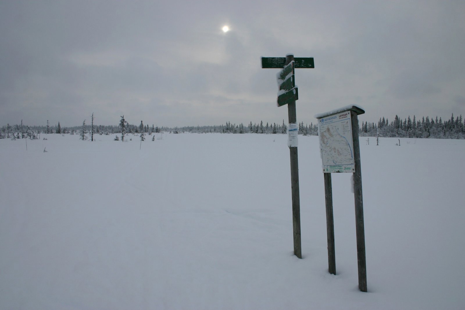 Løypevalg ved Gråsteinmyra