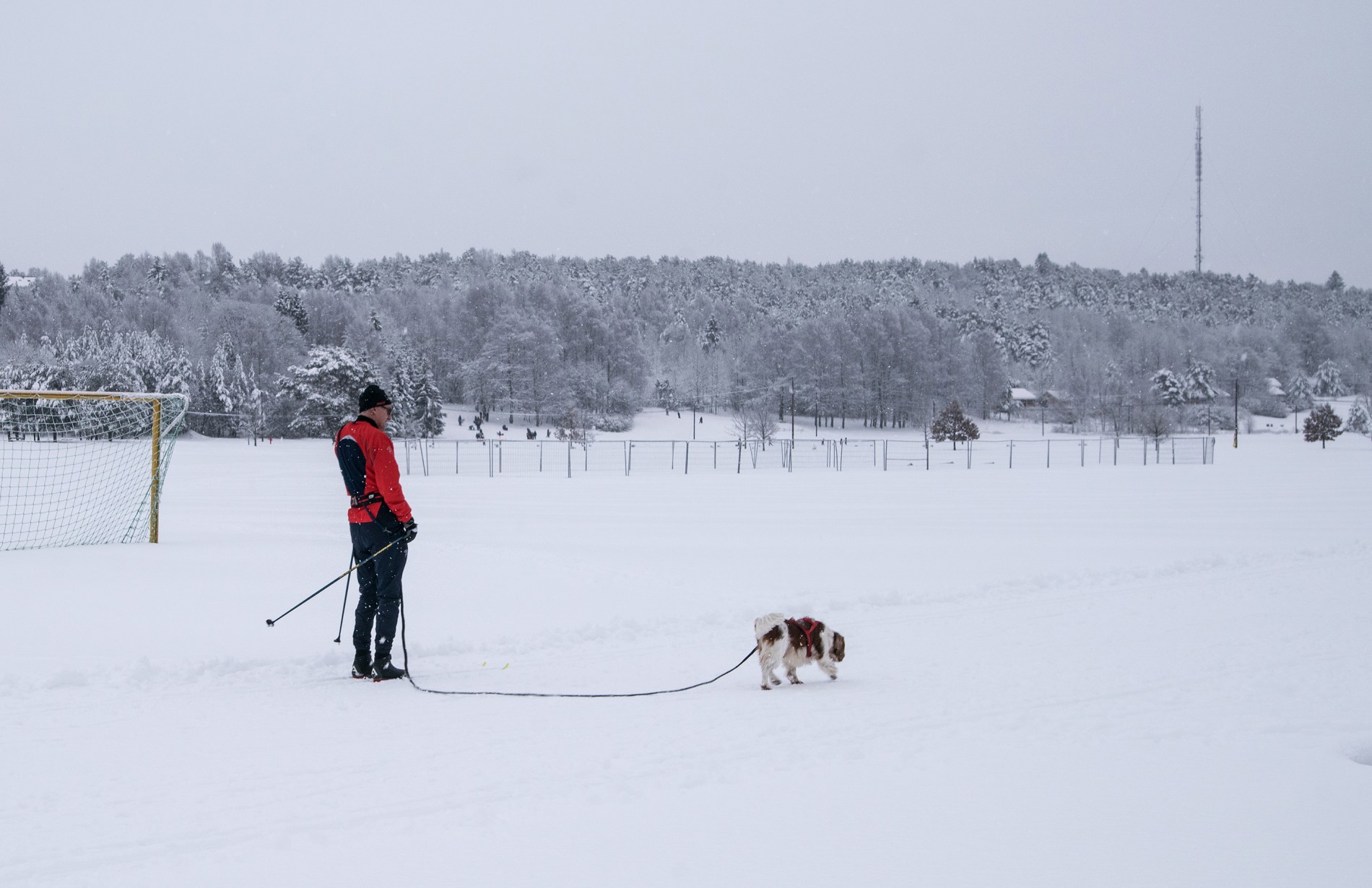 Luftetur på Ekebergsletta
