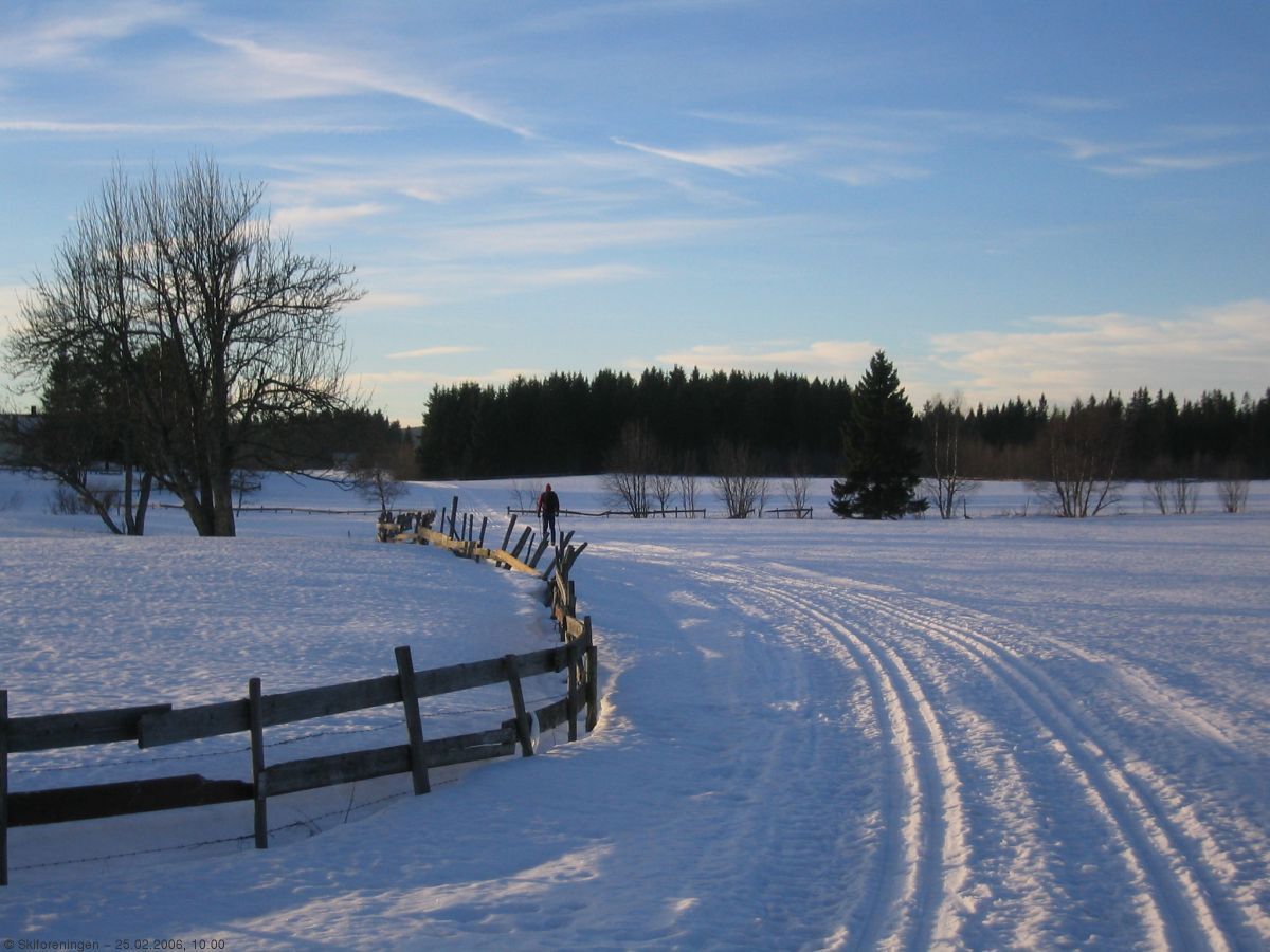 Luftledning Ultvedt-Smestad, nord for Nordre Skuggen