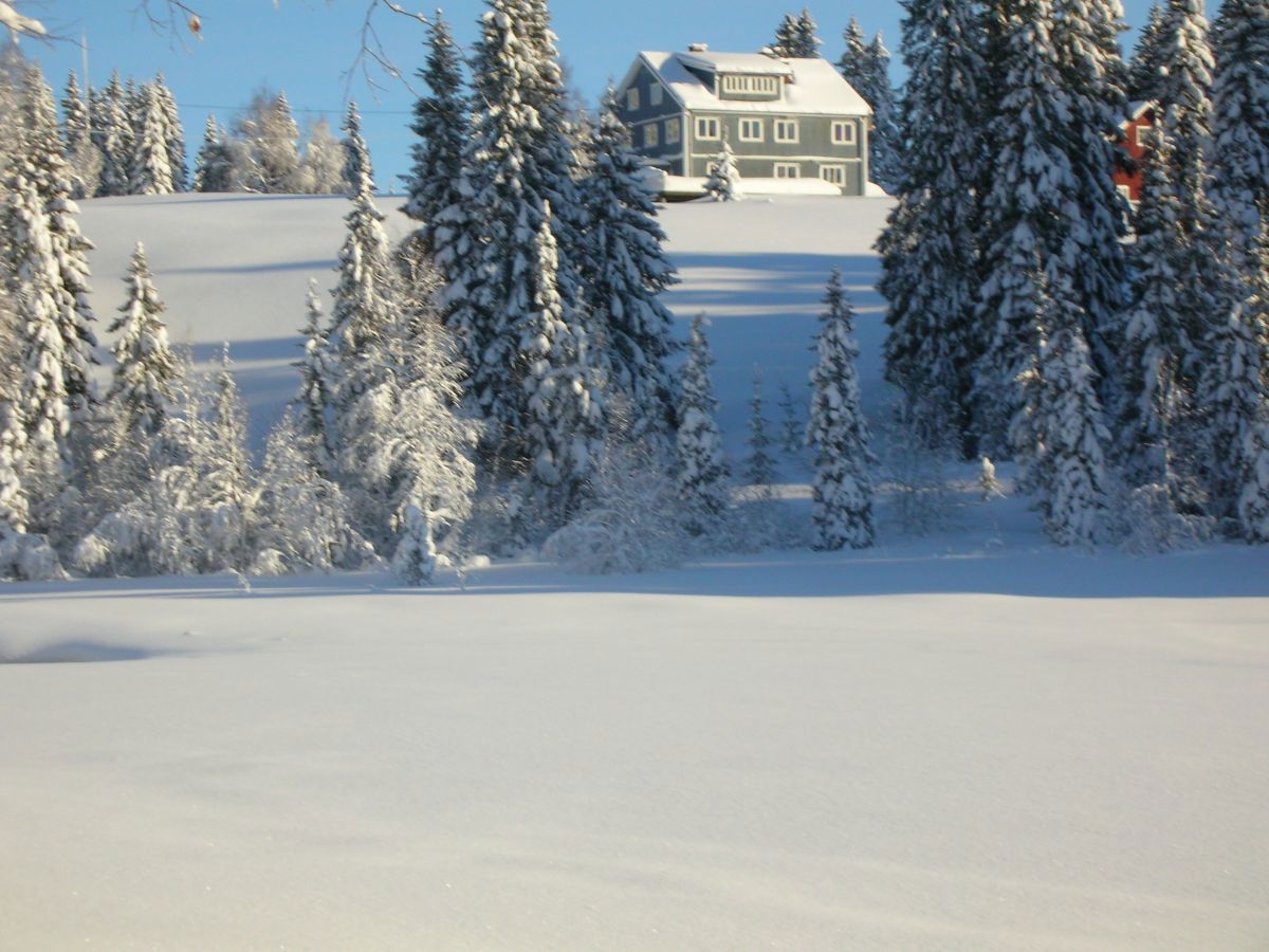 Lukket og låst på Trantjern gård
