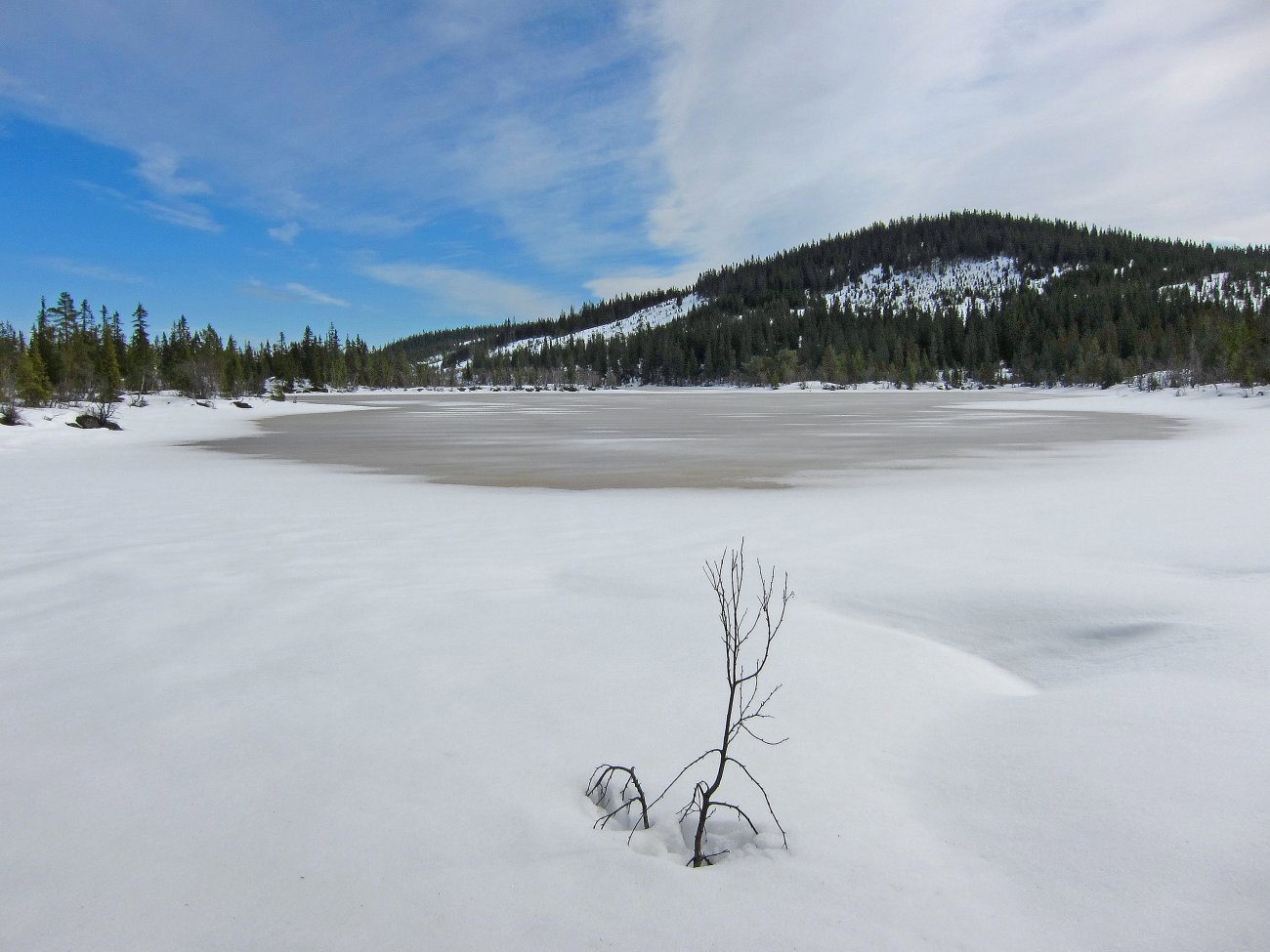 Lustjernet og Lushaugen