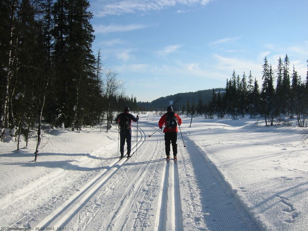 Lygnatur 2003 (merking):