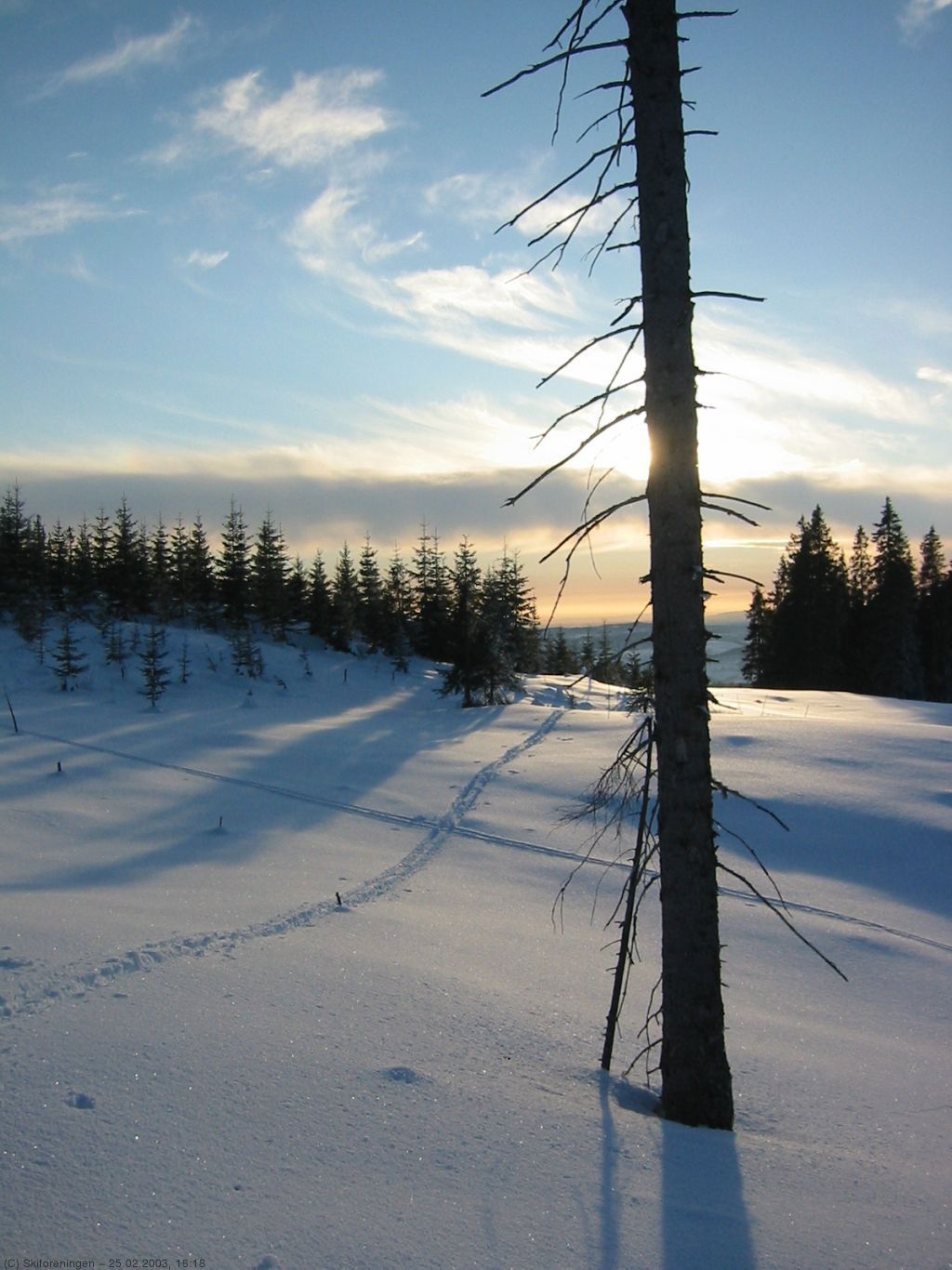 Lygnatur 2003 (merking): Kveldssol ved Koperud