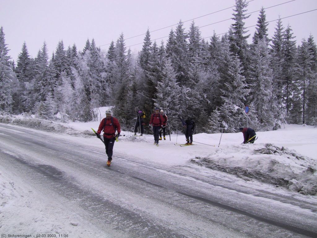 Lygnaturen 2003: Veikryssing ved Koperud
