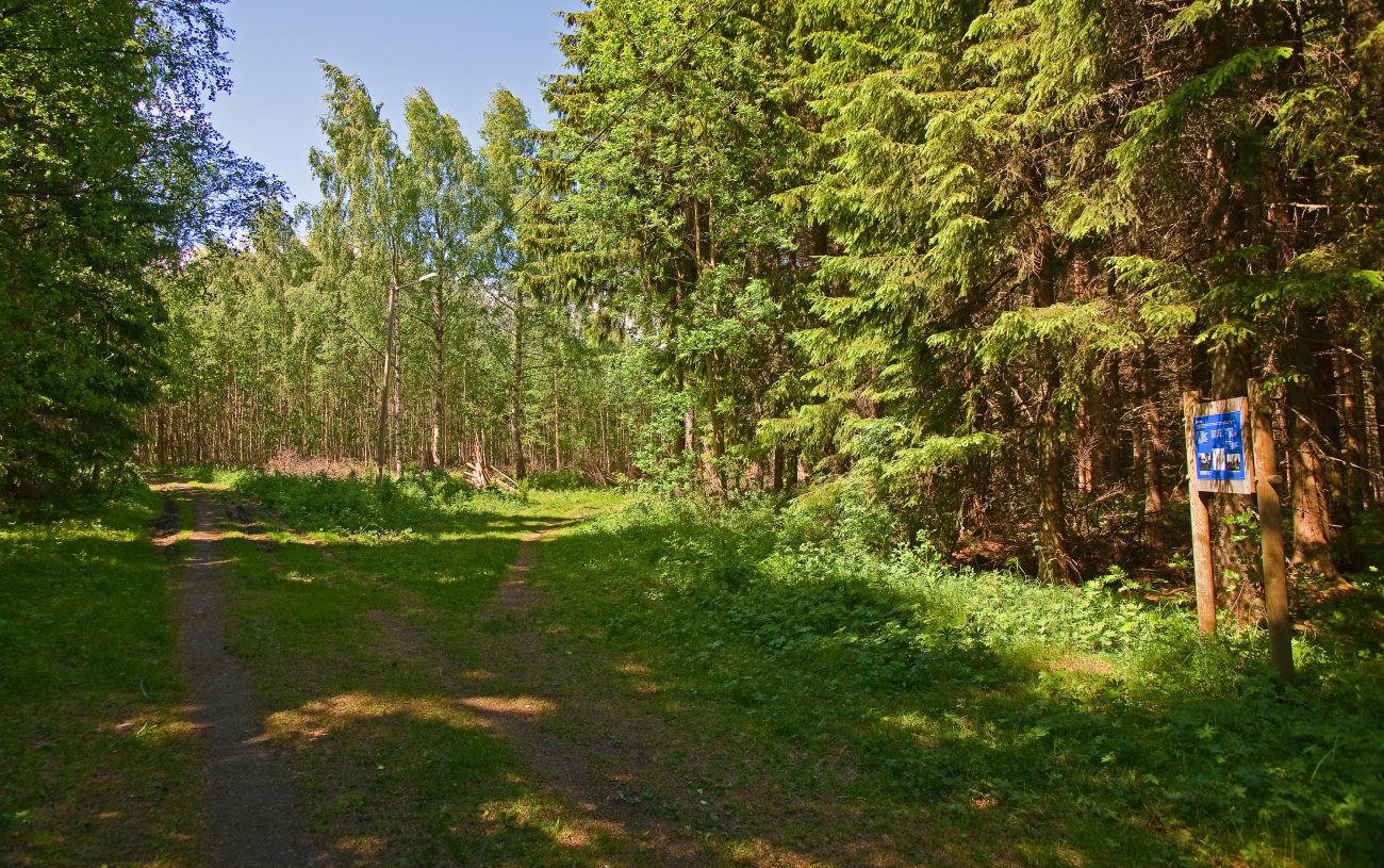 Lys og skygge ved Diktimot