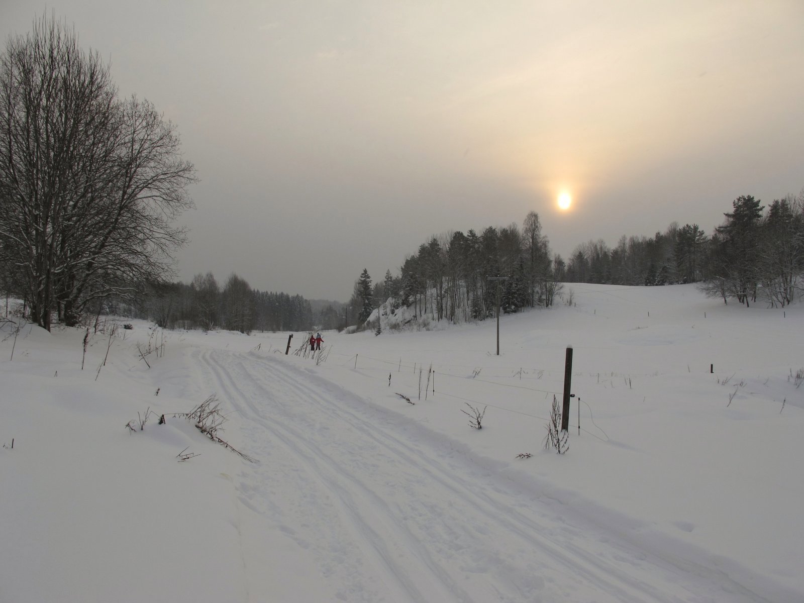 Lysdal i blek januarsol