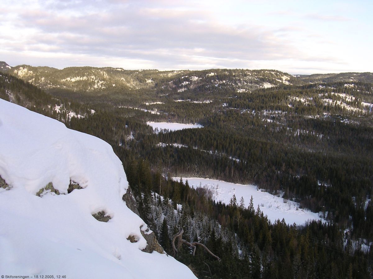 Lysedammene slik fuglene ser dem